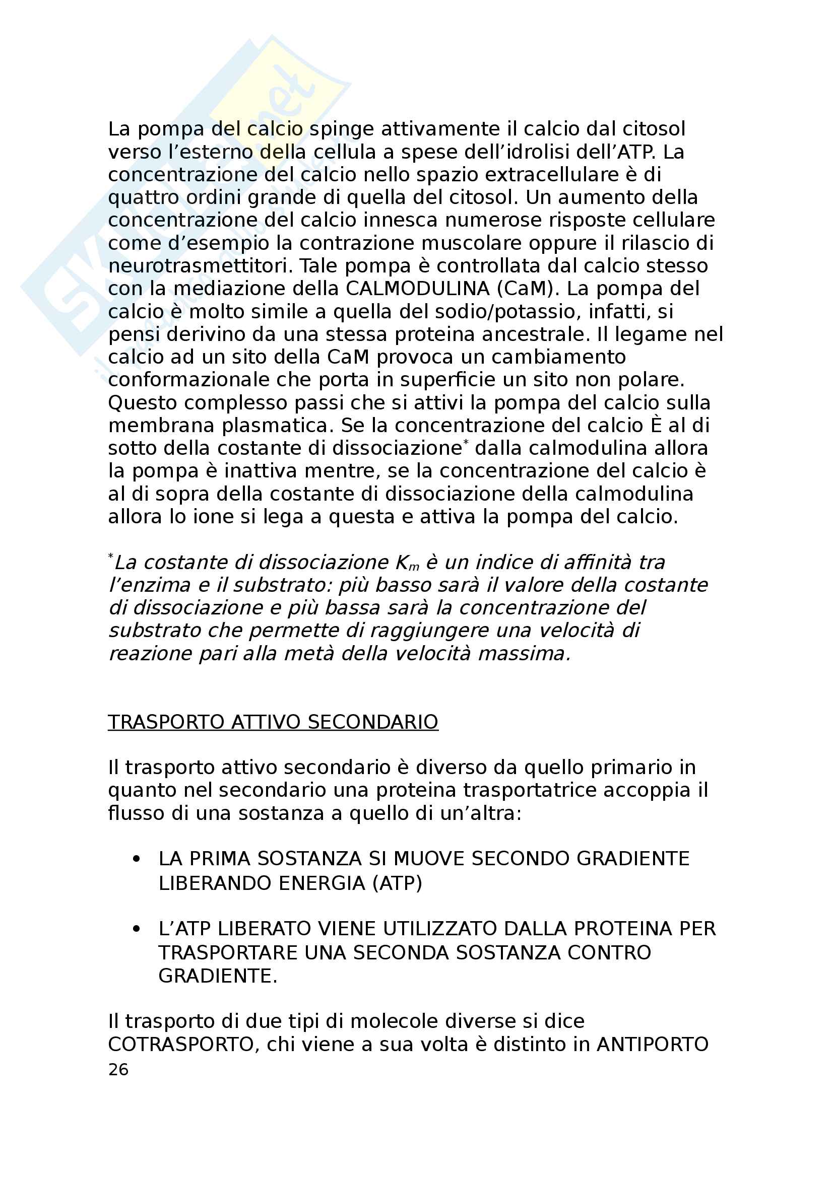 Biologia animale Pag. 26