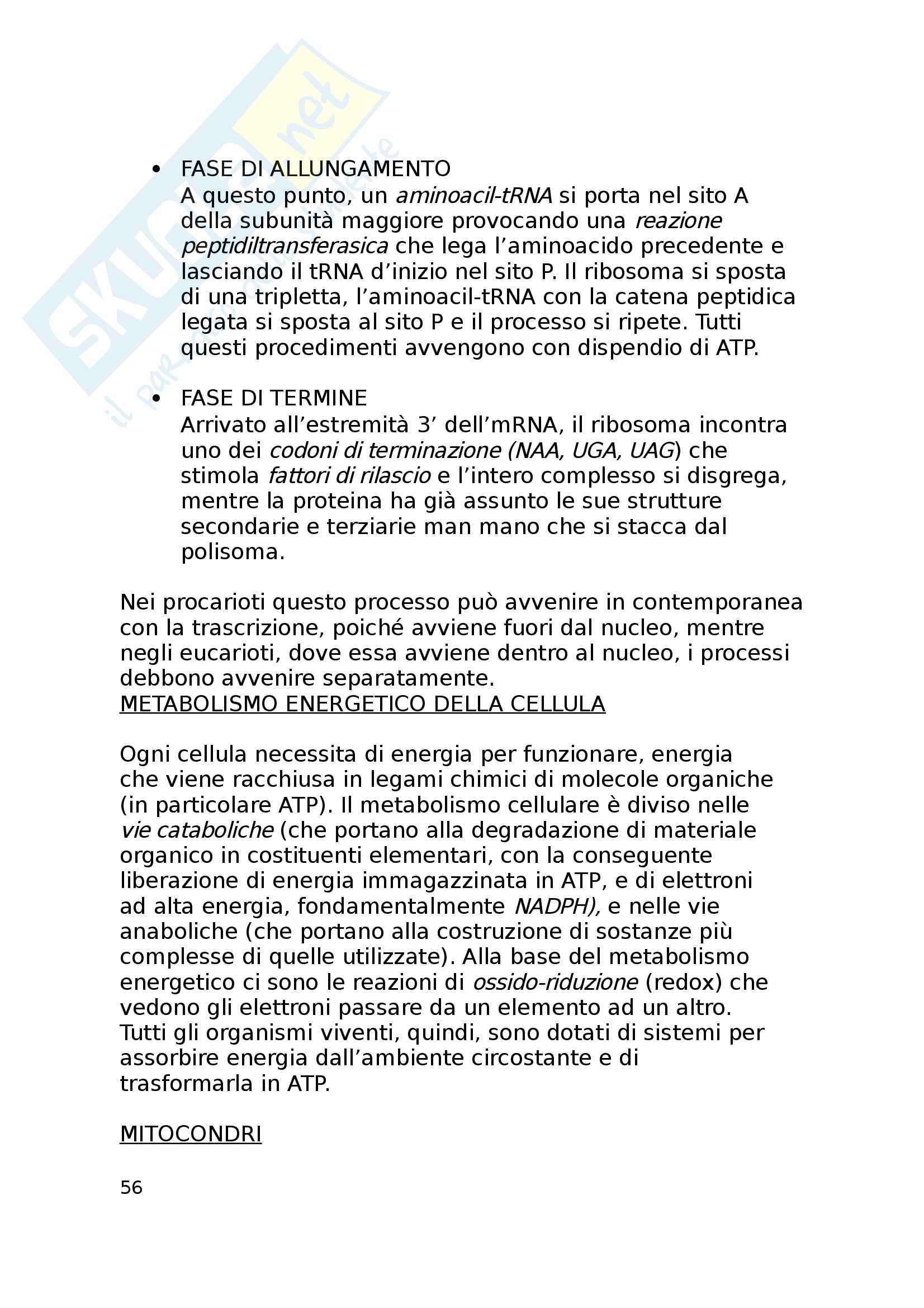 Biologia animale Pag. 56