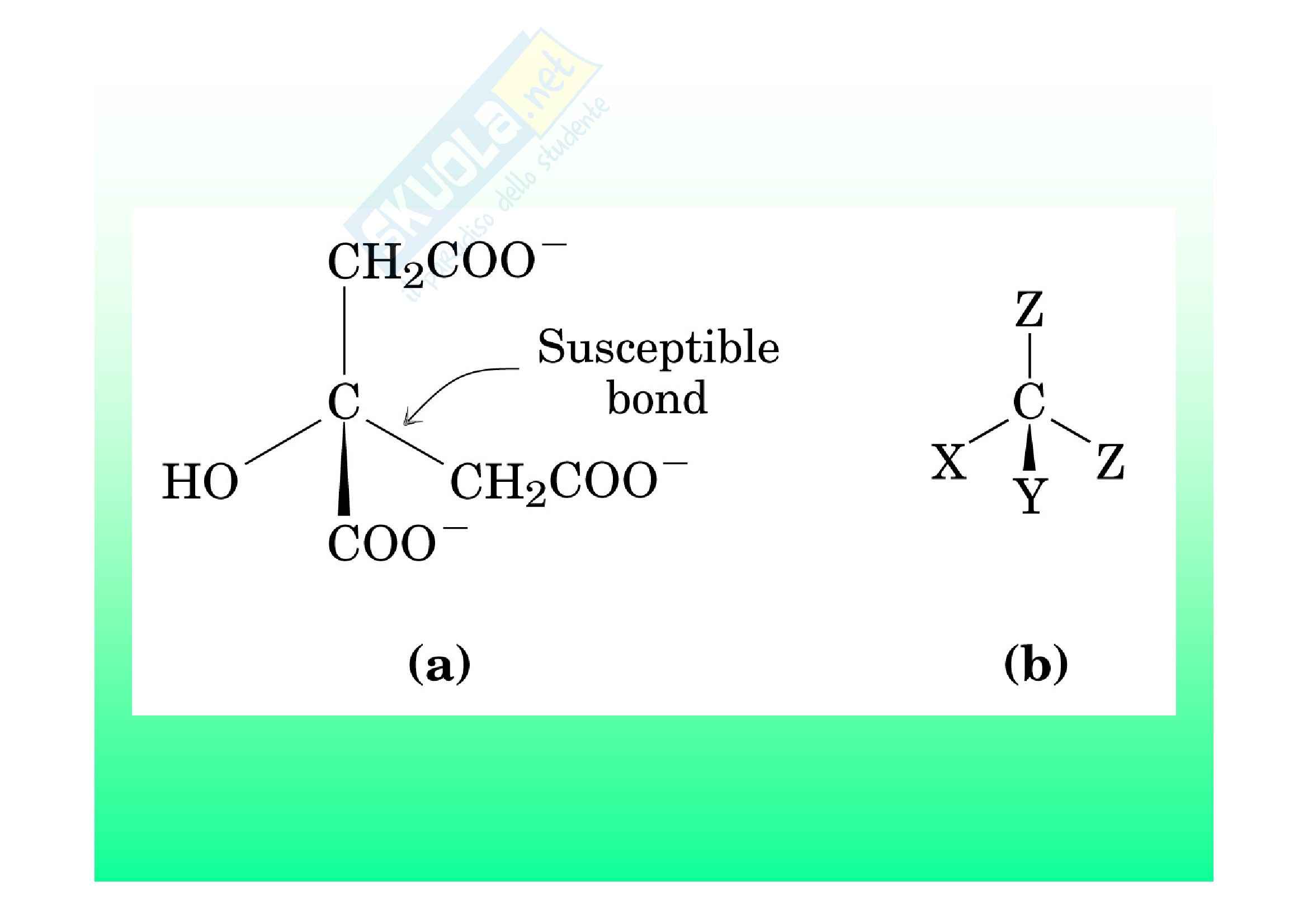 Biochimica II – Lezione 6 – Slides Pag. 46