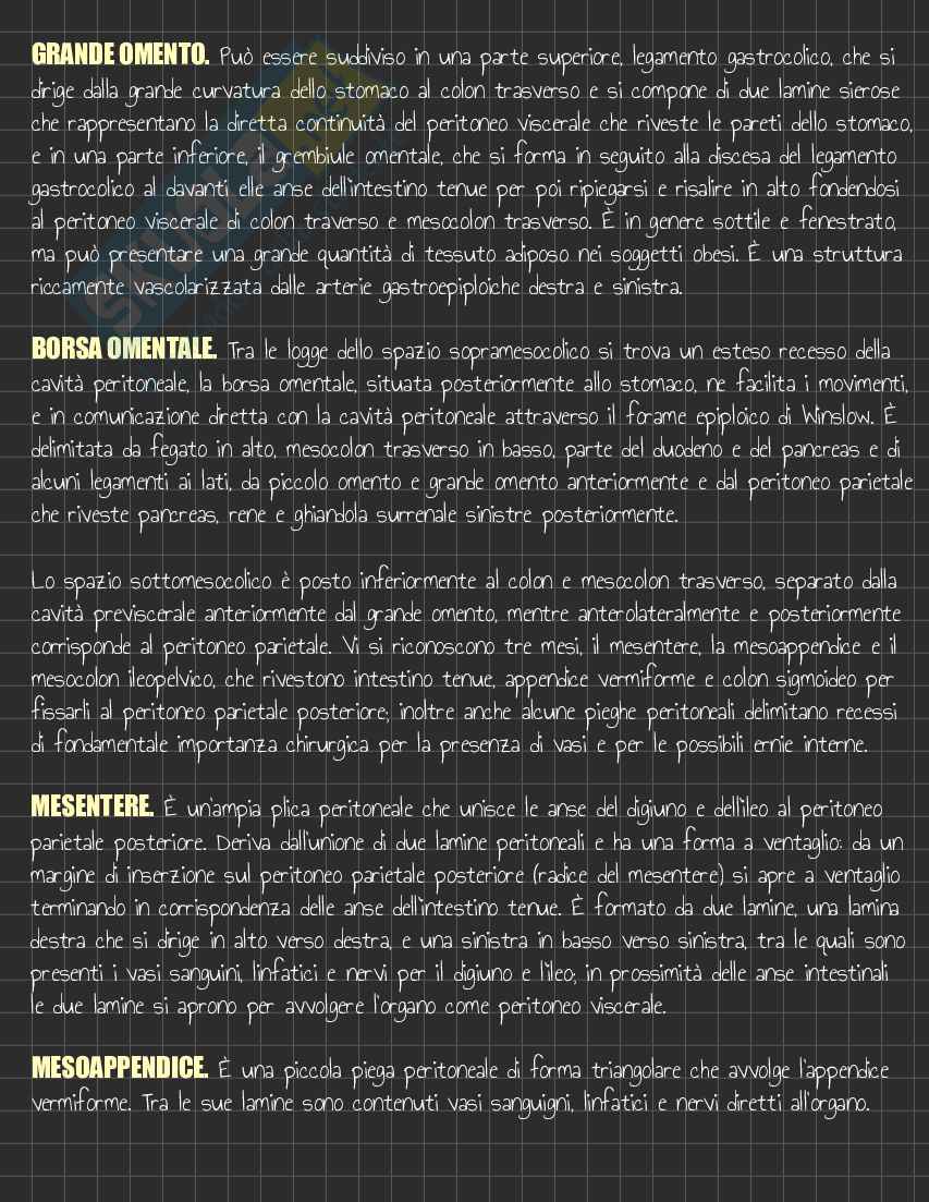 Riassunto esame Anatomia I, Prof. Rossi Enzo, libro consigliato Trattato di Anatomia Umana (Volume 2),  Anastasi Pag. 101