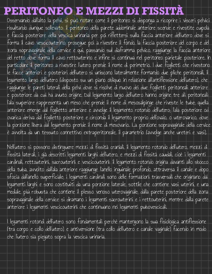 Riassunto esame Anatomia I, Prof. Rossi Enzo, libro consigliato Trattato di Anatomia Umana (Volume 2),  Anastasi Pag. 136