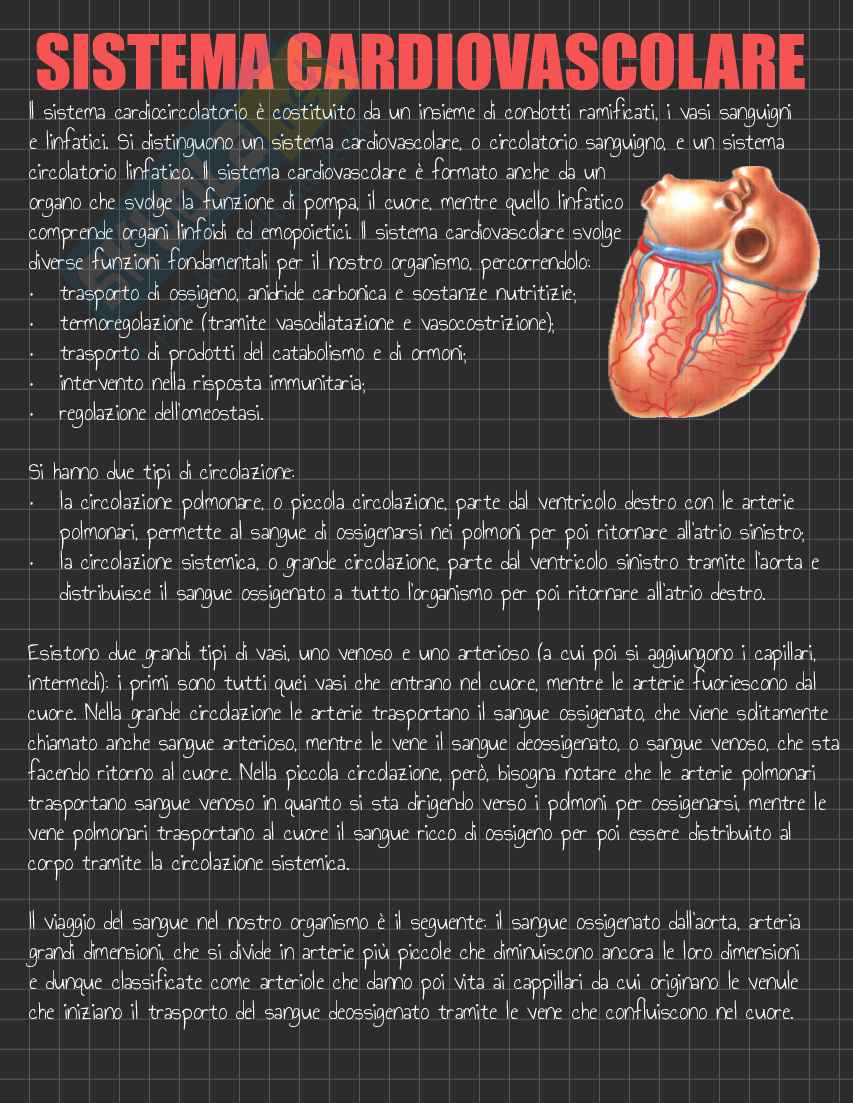 Riassunto esame Anatomia I, Prof. Rossi Enzo, libro consigliato Trattato di Anatomia Umana (Volume 2),  Anastasi Pag. 2