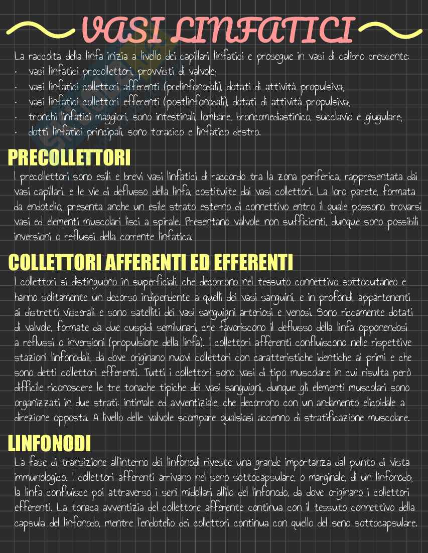 Riassunto esame Anatomia I, Prof. Rossi Enzo, libro consigliato Trattato di Anatomia Umana (Volume 2),  Anastasi Pag. 26