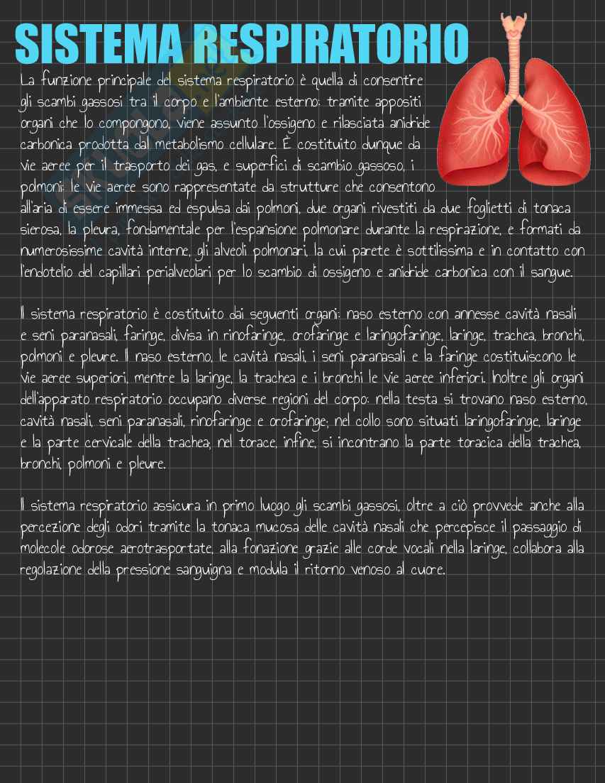 Riassunto esame Anatomia I, Prof. Rossi Enzo, libro consigliato Trattato di Anatomia Umana (Volume 2),  Anastasi Pag. 31