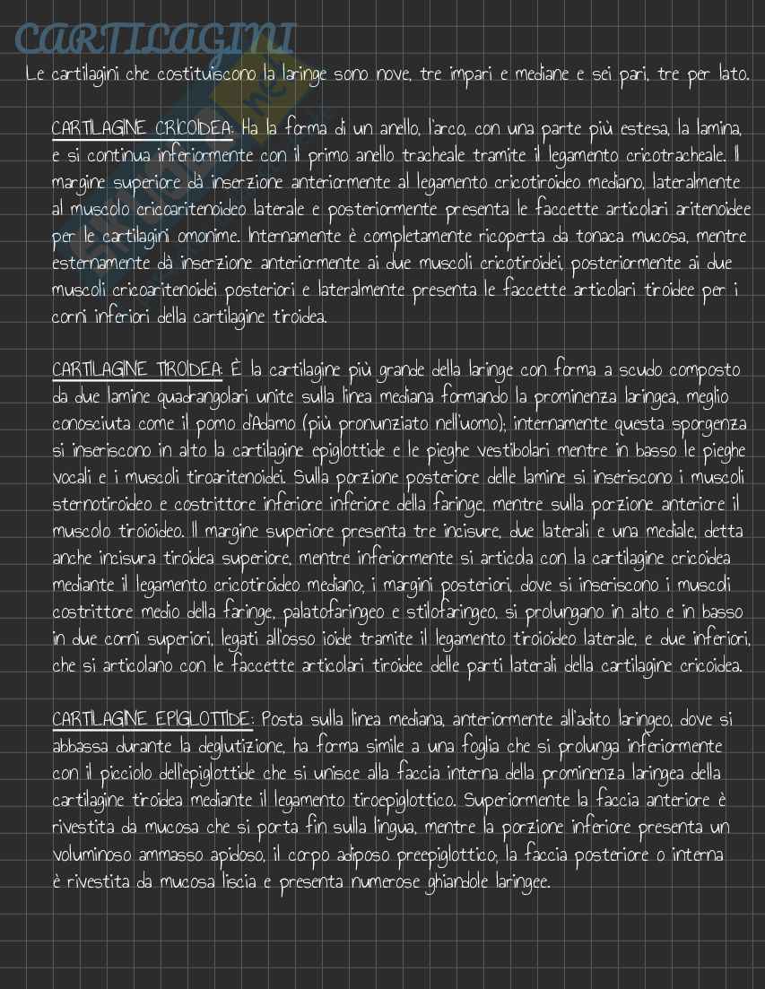 Riassunto esame Anatomia I, Prof. Rossi Enzo, libro consigliato Trattato di Anatomia Umana (Volume 2),  Anastasi Pag. 36