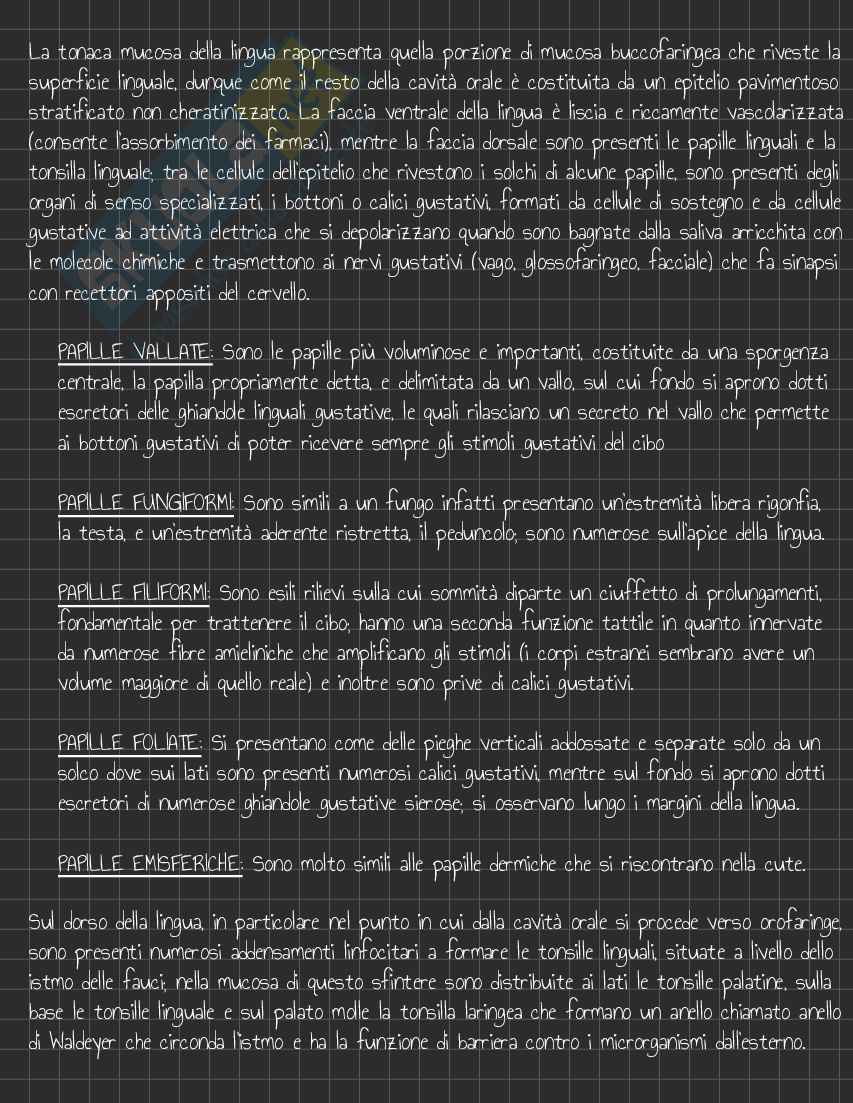 Riassunto esame Anatomia I, Prof. Rossi Enzo, libro consigliato Trattato di Anatomia Umana (Volume 2),  Anastasi Pag. 61