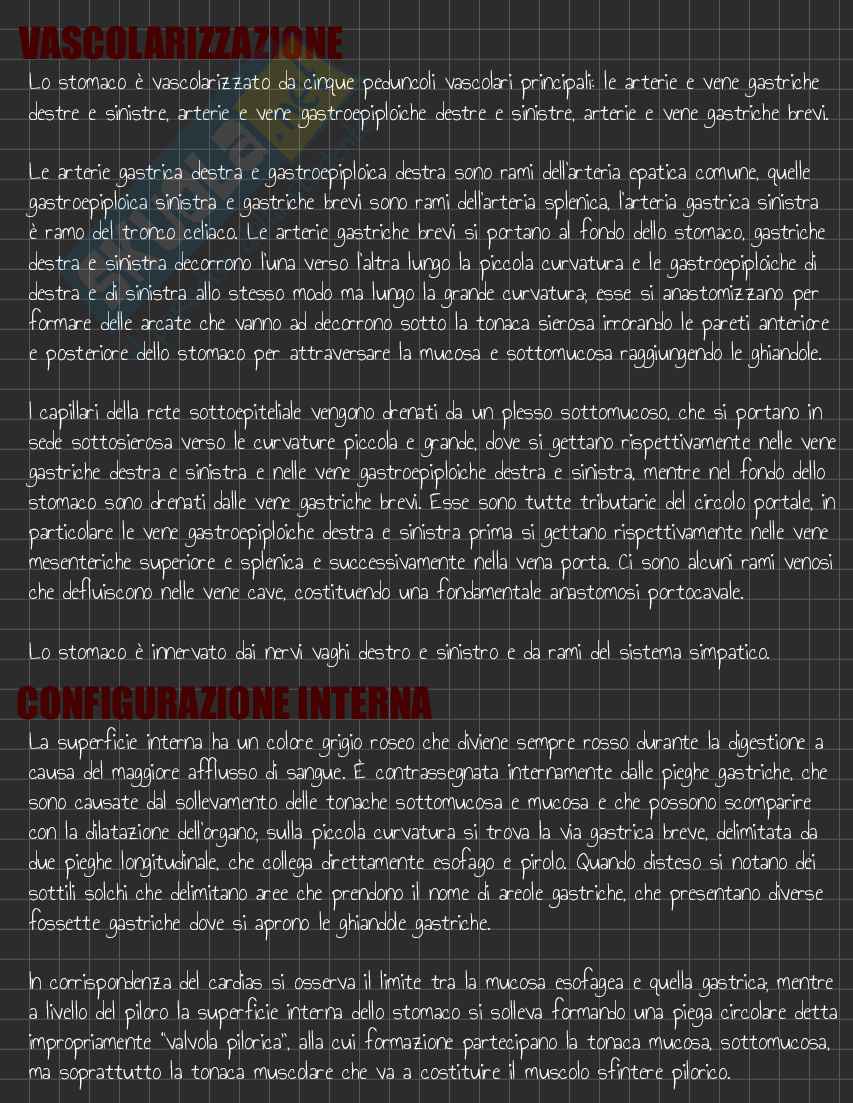 Riassunto esame Anatomia I, Prof. Rossi Enzo, libro consigliato Trattato di Anatomia Umana (Volume 2),  Anastasi Pag. 71