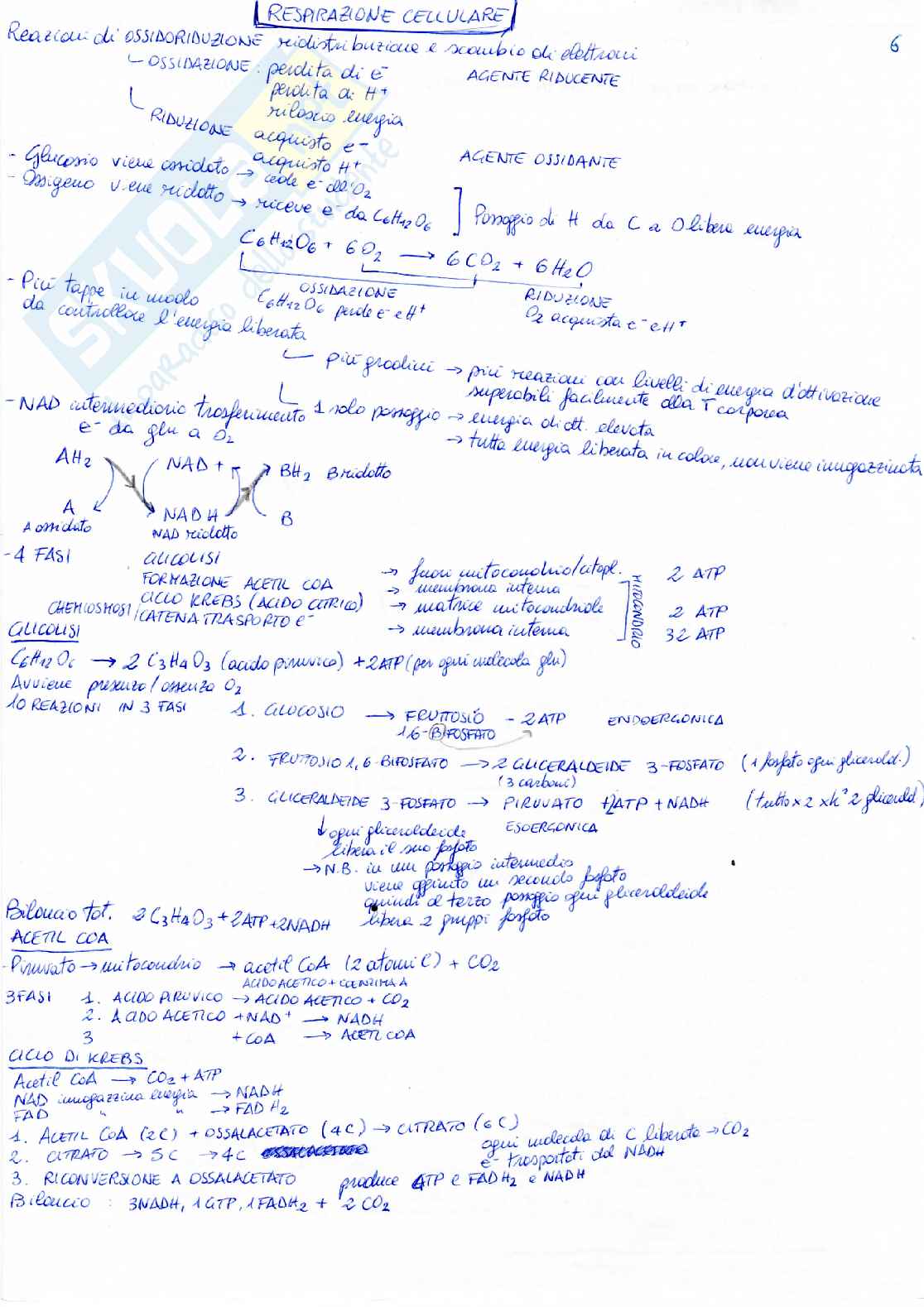 Elementi Di Biologia E Genetica Pdf
