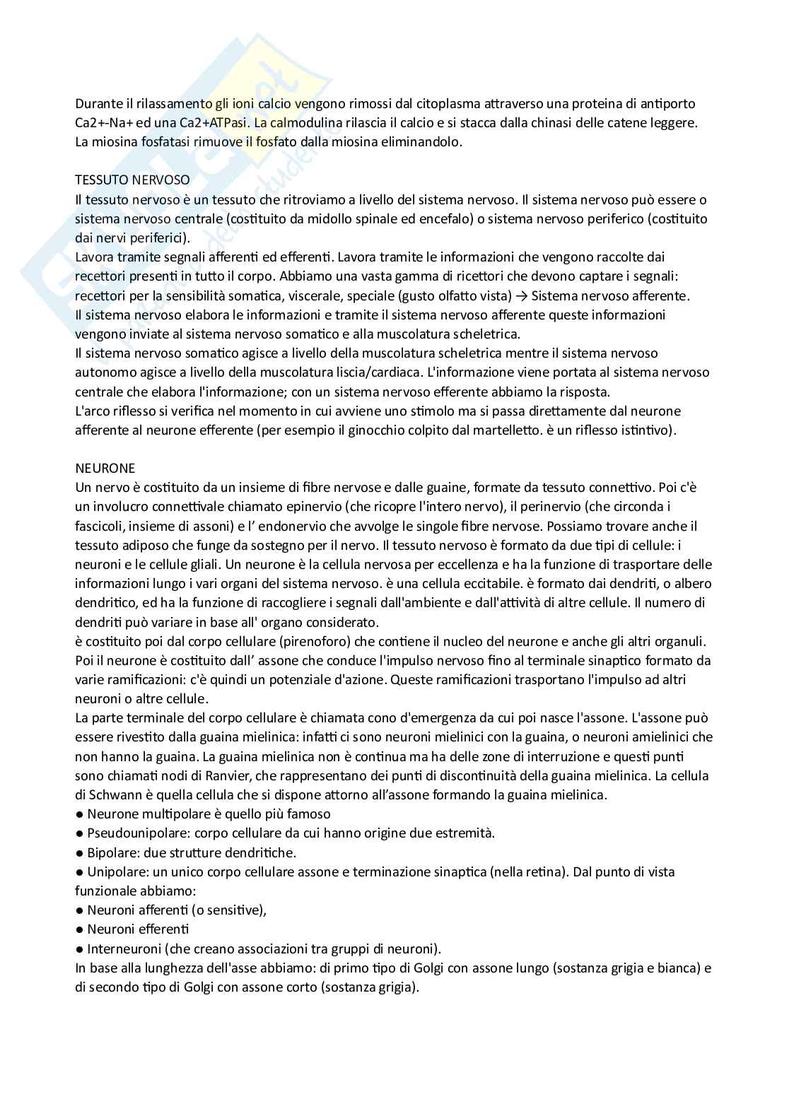 Citologia e istologia  Pag. 11