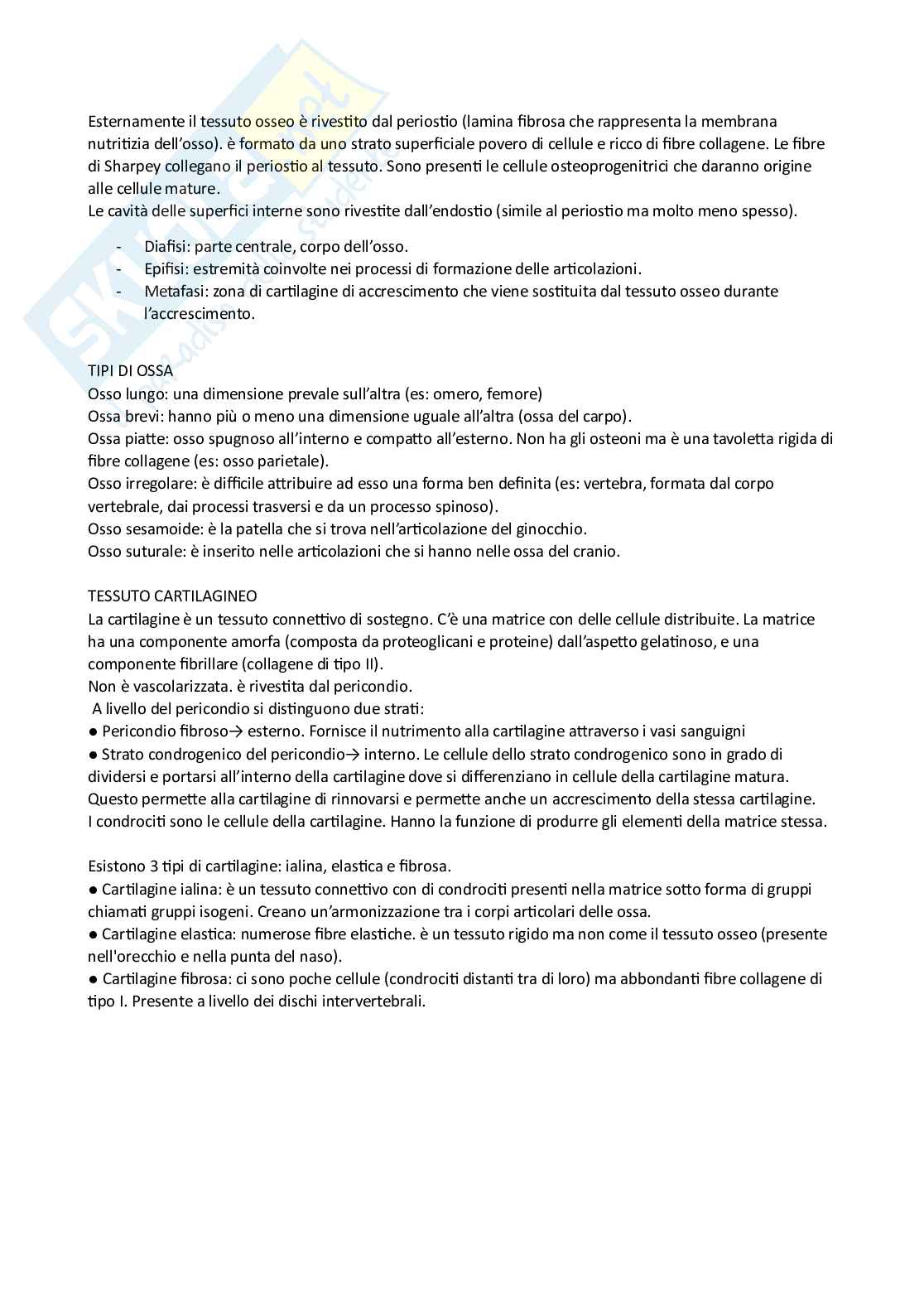 Citologia e istologia  Pag. 16