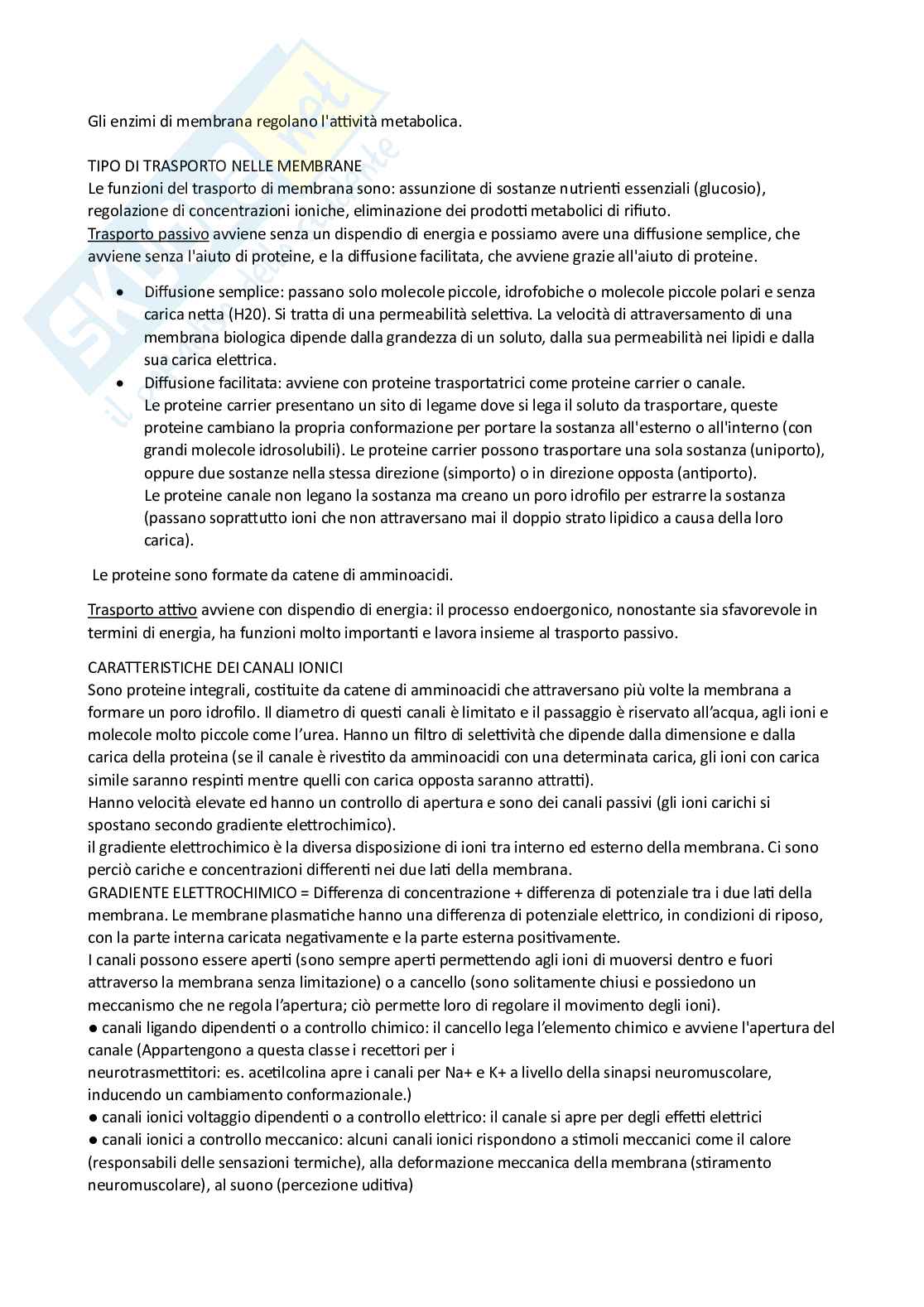 Citologia e istologia  Pag. 2