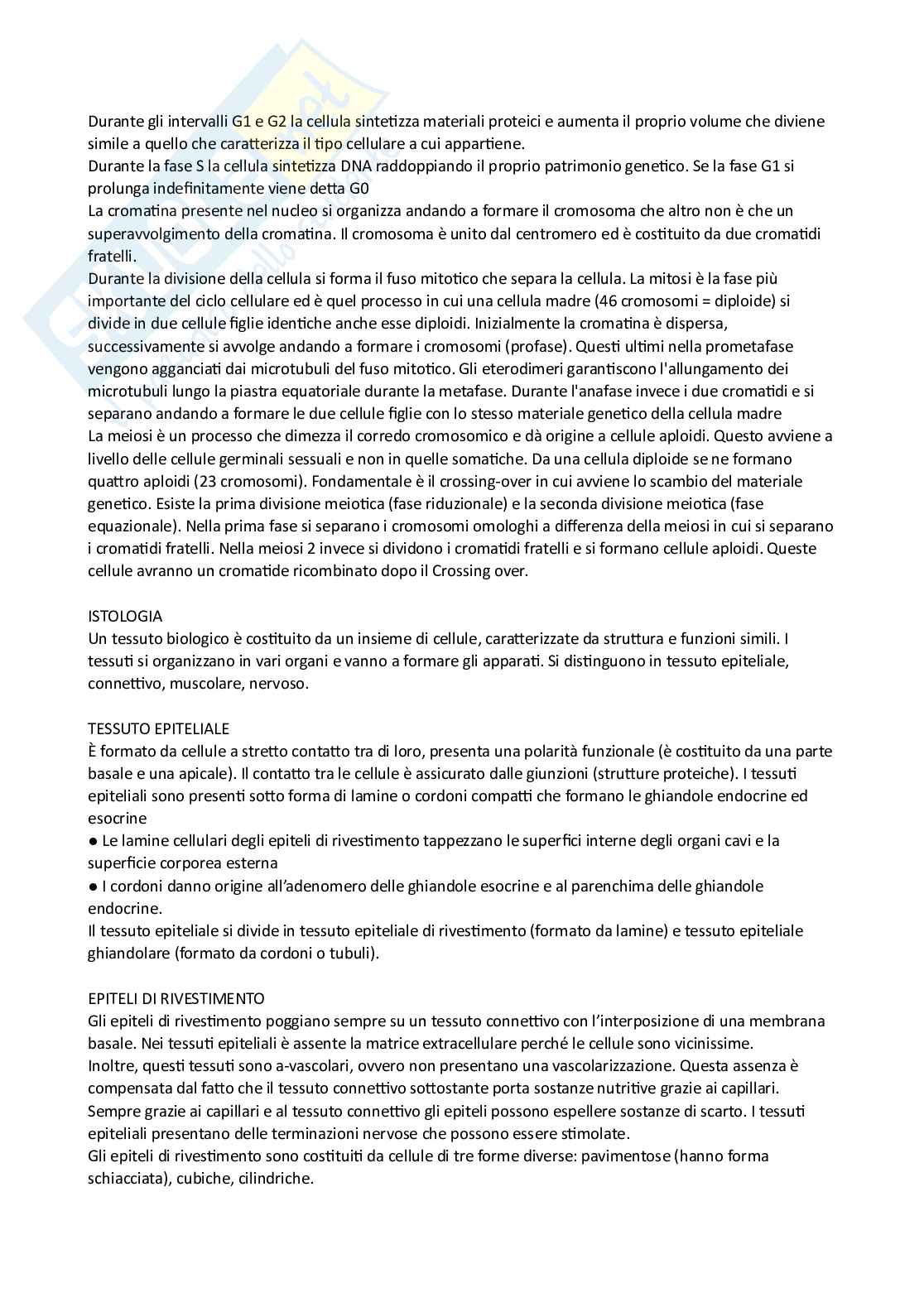 Citologia e istologia  Pag. 6