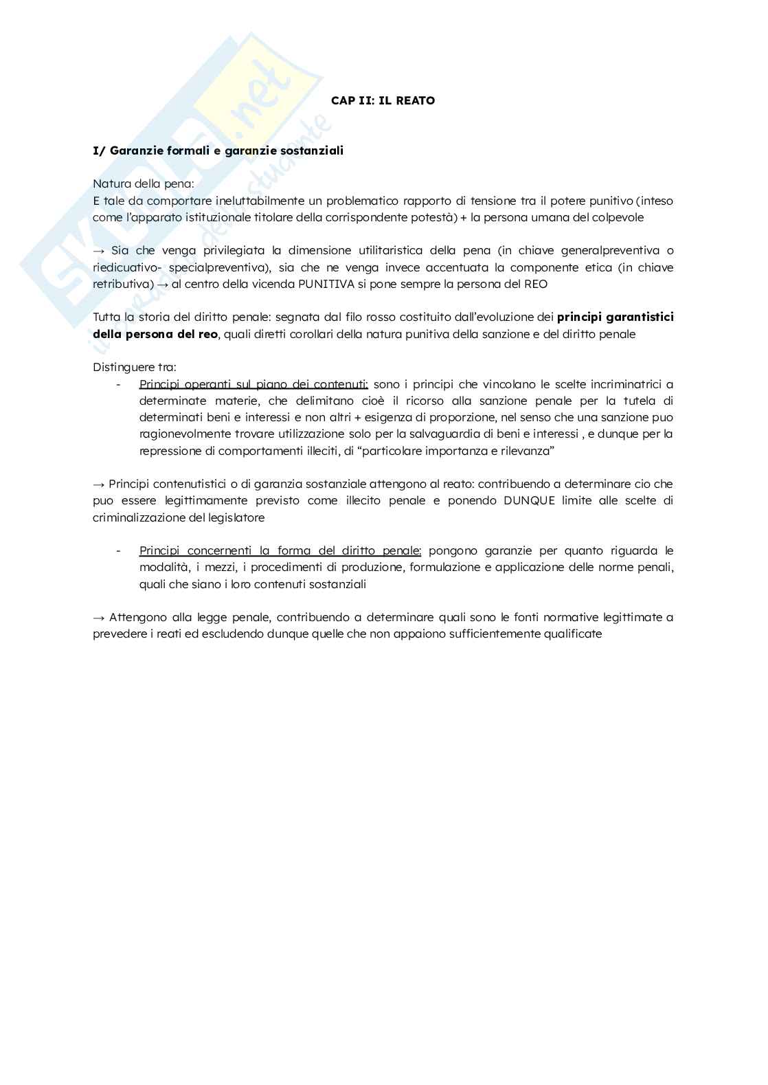 Riassunto esame Diritto penale 1, Prof. Caterina Paonessa, libro consigliato Corso di diritto penale , Francesco Palazzo Pag. 1