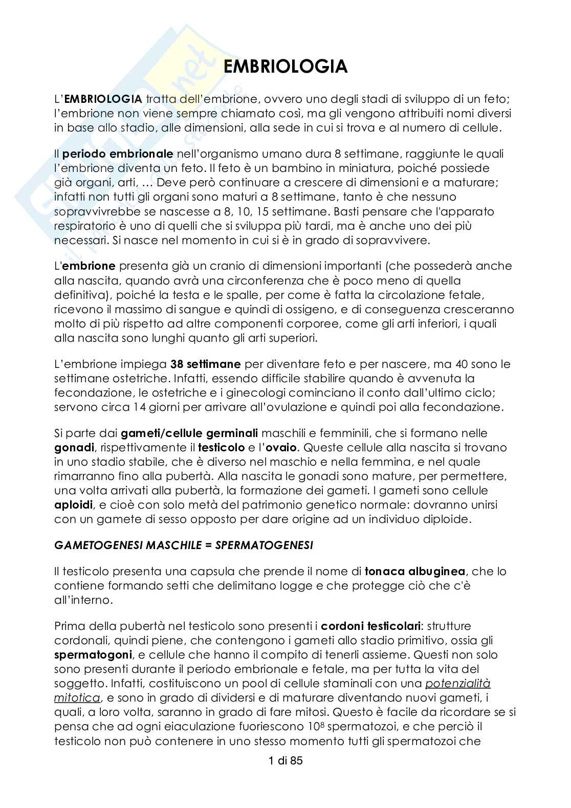 Riassunto esame Embriologia umana, prof. Vannucchi, libro consigliato Embriologia umana, Gnocchi Pag. 1