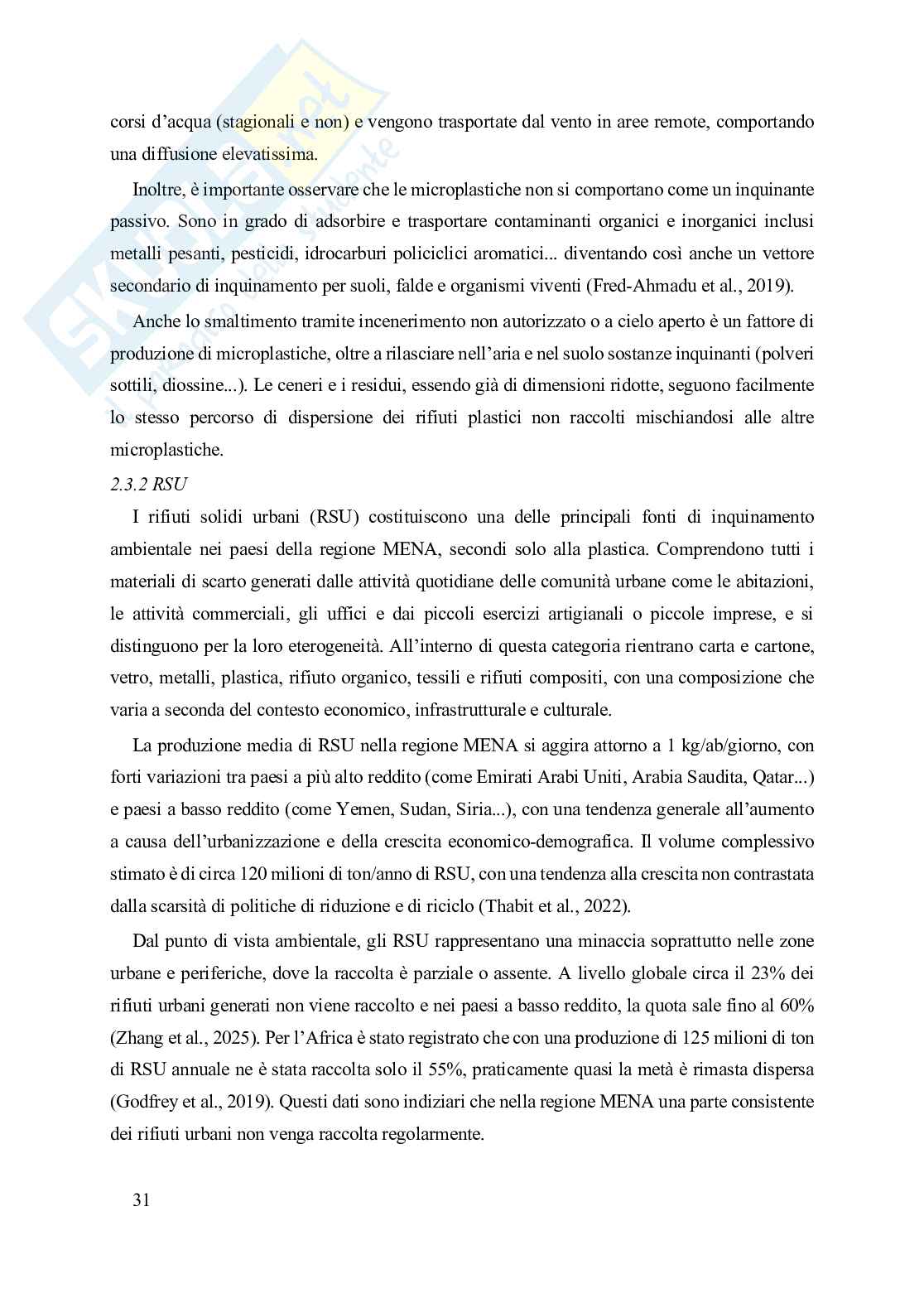 Deserto di plastica Pag. 31