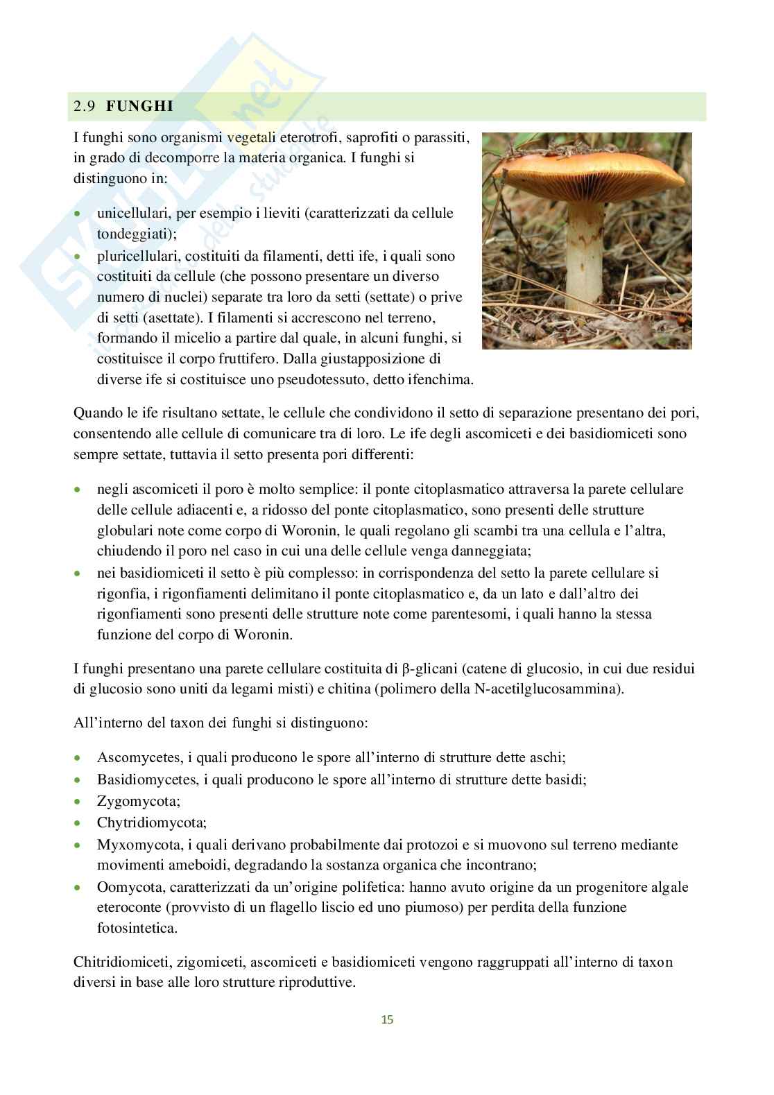Appunti di Botanica generale Pag. 16