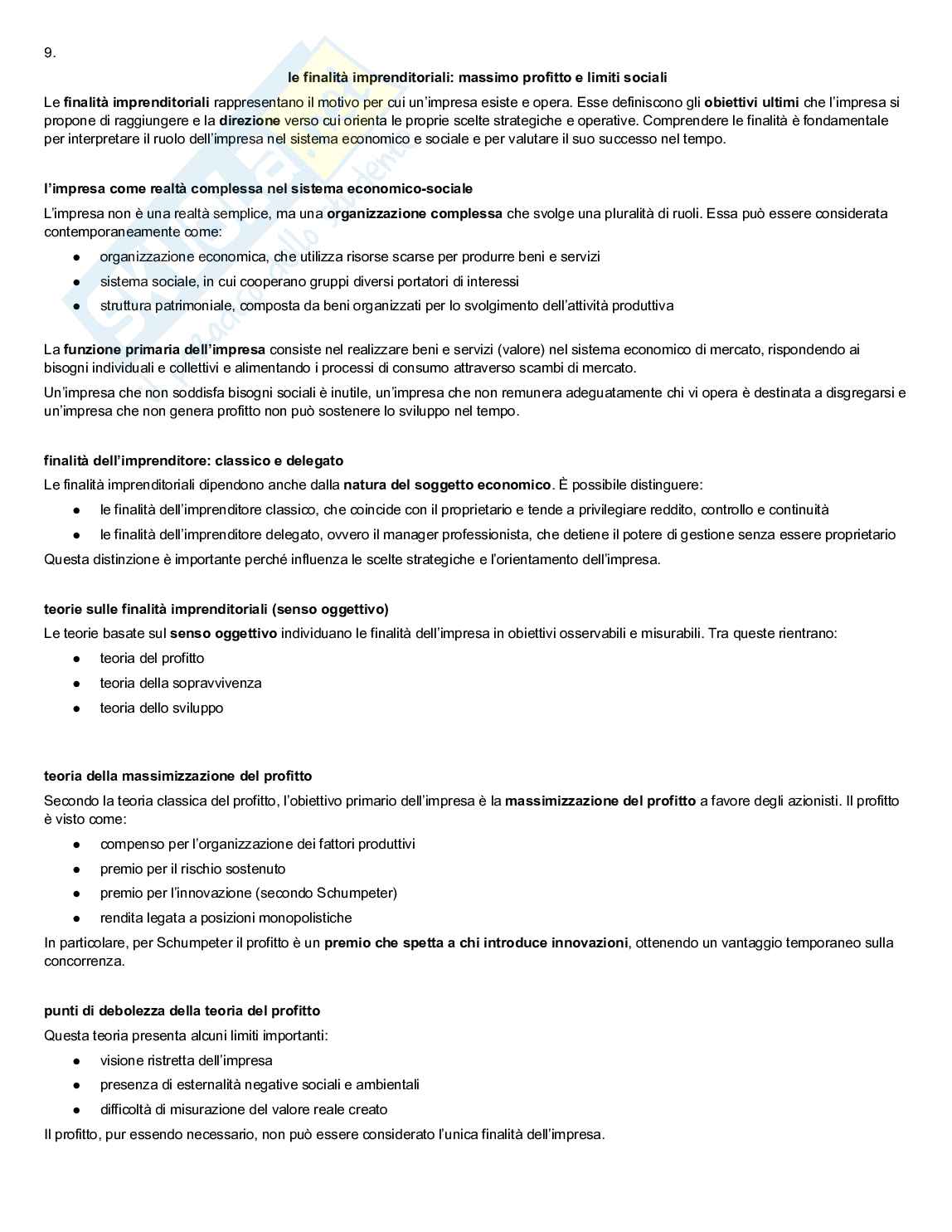 Teorie e governo dell'impresa Pag. 16
