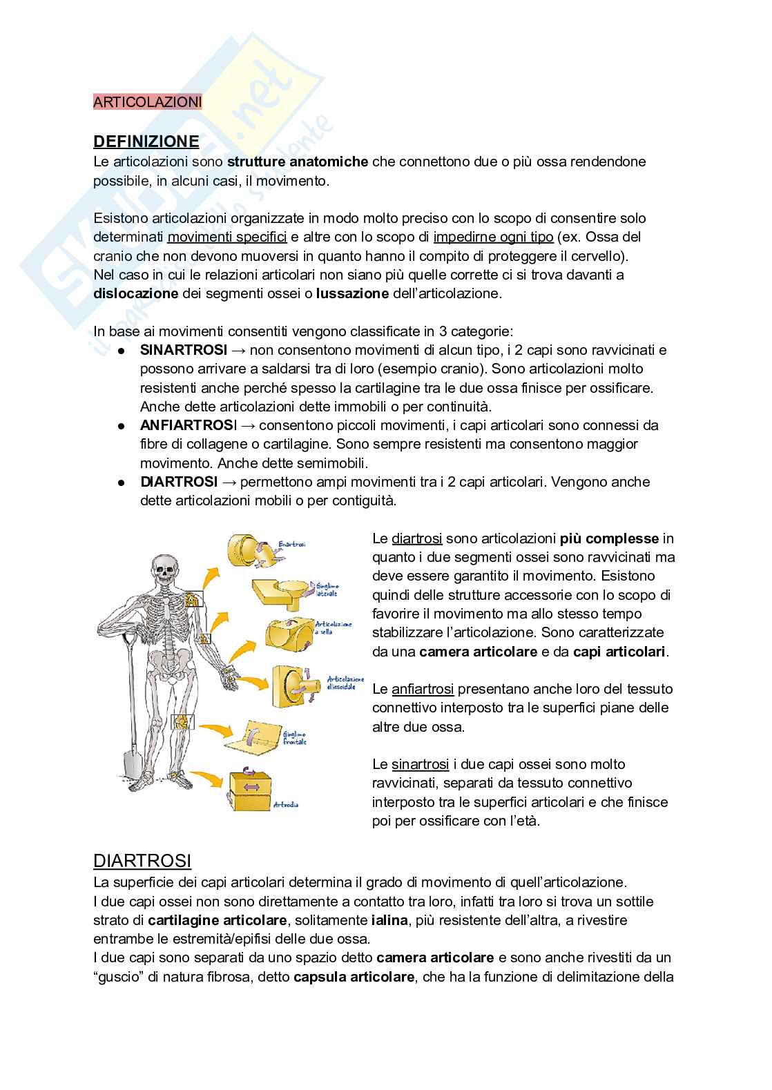 Articolazioni Pag. 1
