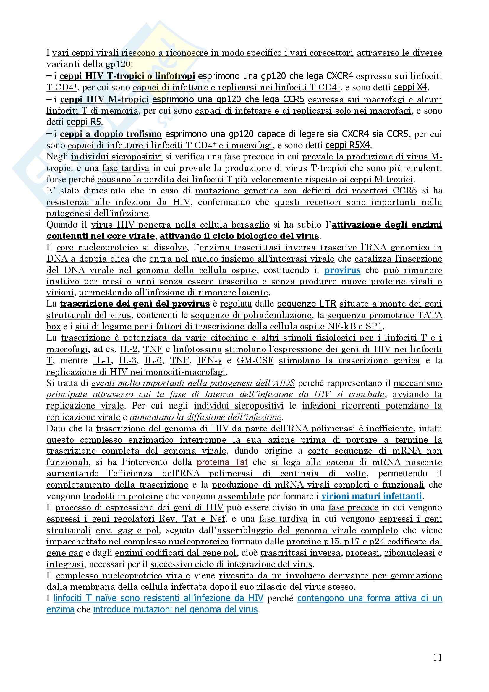 Malattie Infettive Pag. 11