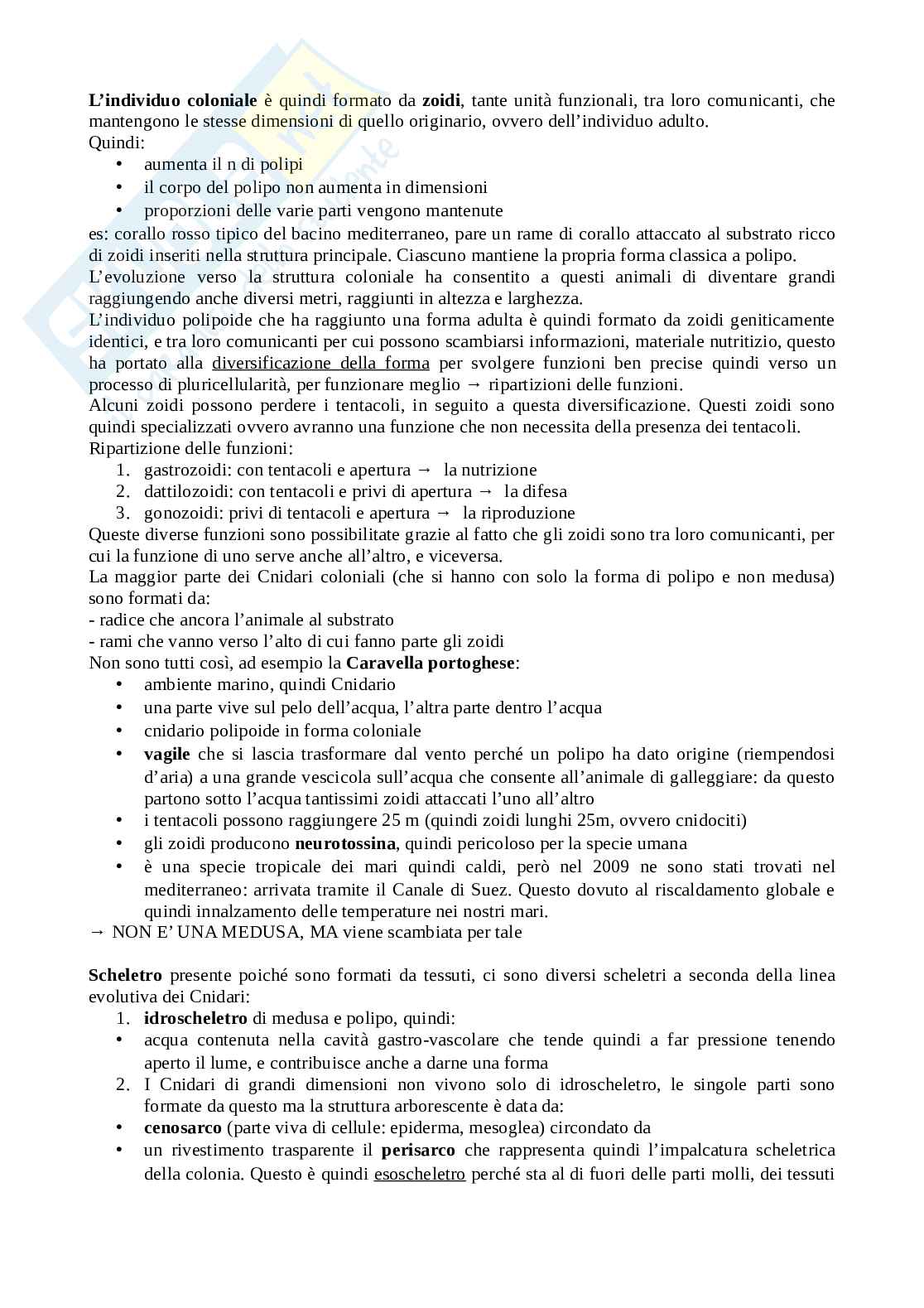 Biologia degli invertebrati Pag. 46