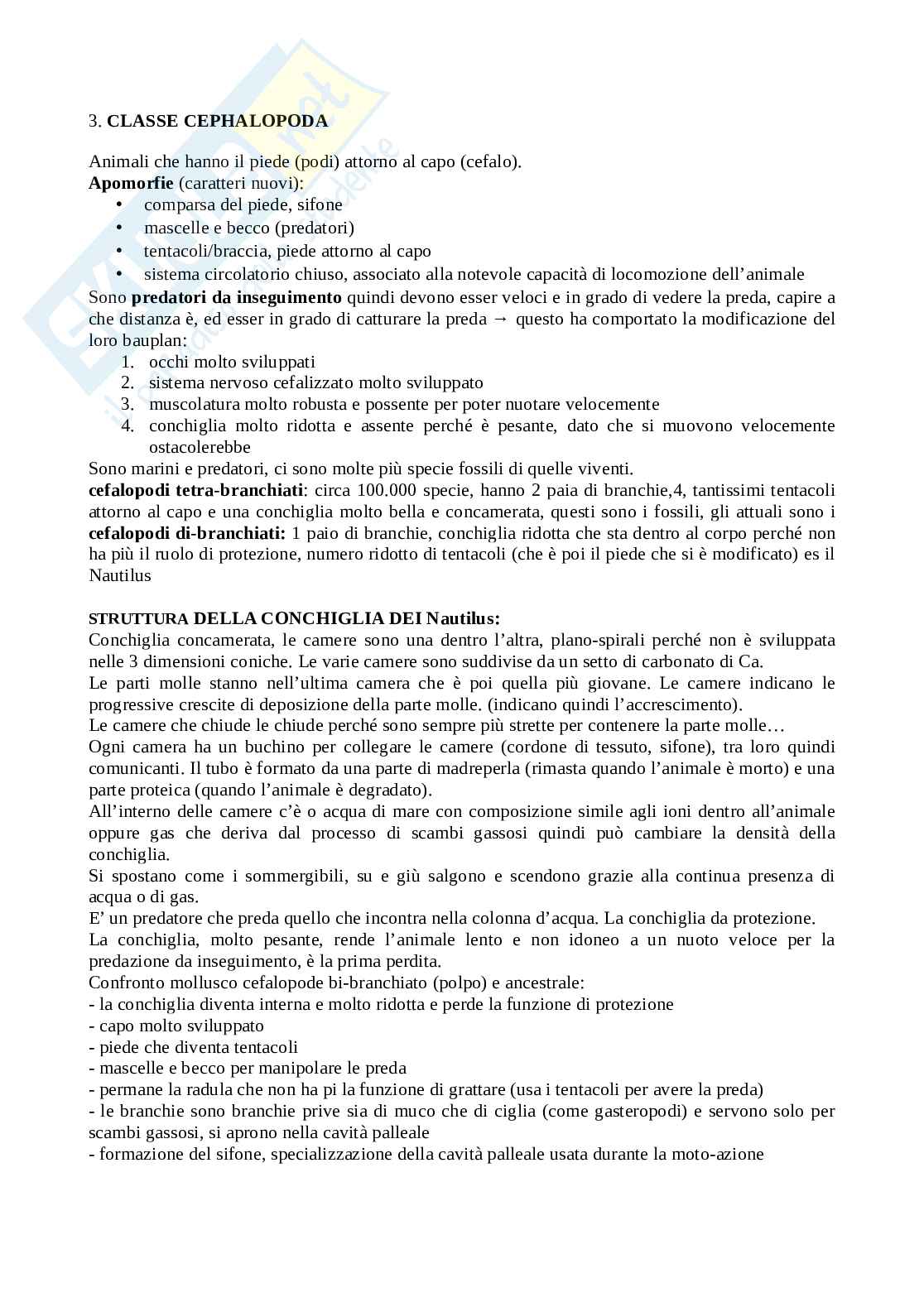 Biologia degli invertebrati Pag. 86