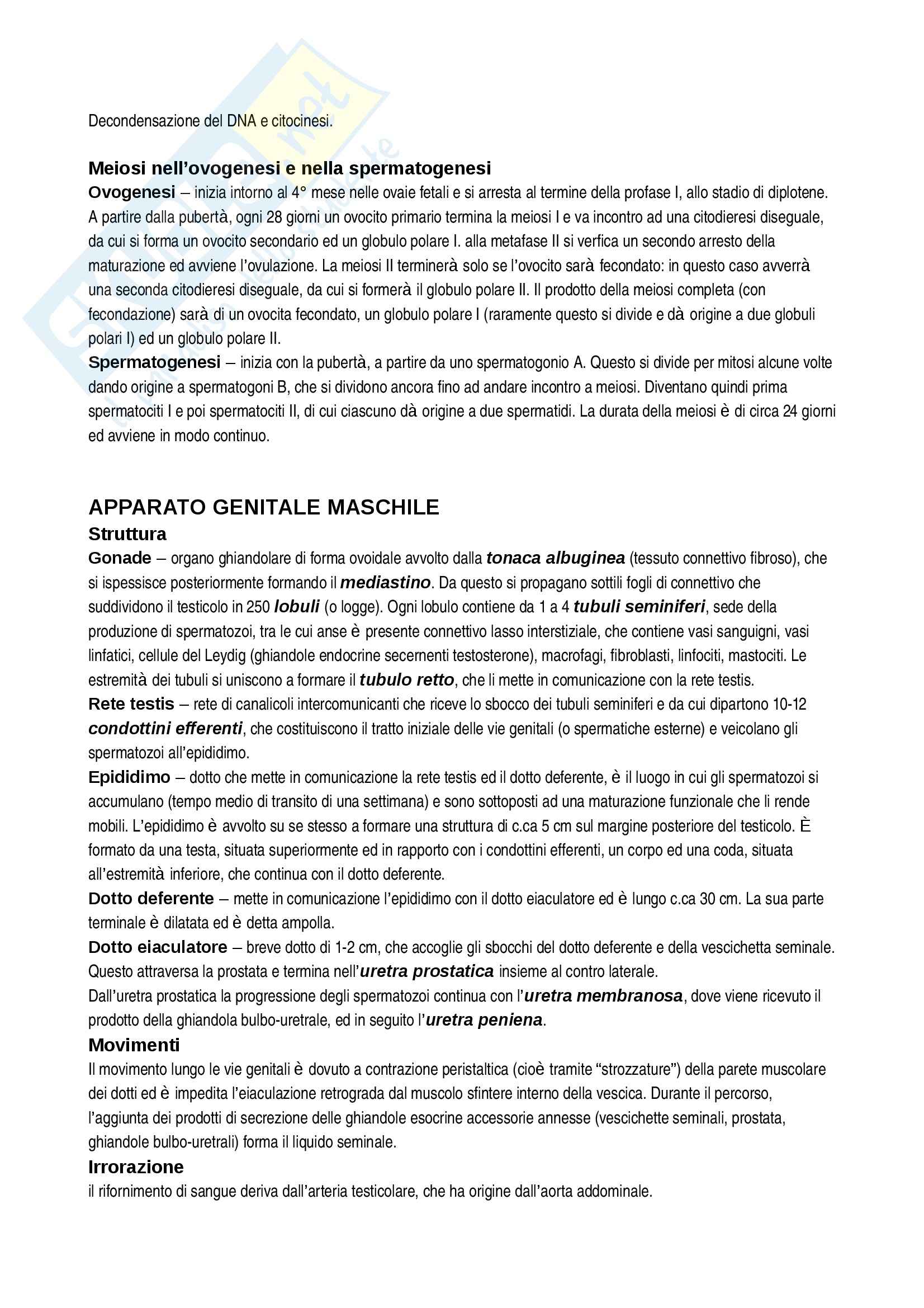 Riassunto esame Istologia, prof. Canipari, libro consigliato Embriologia Umana, De Felici Pag. 2