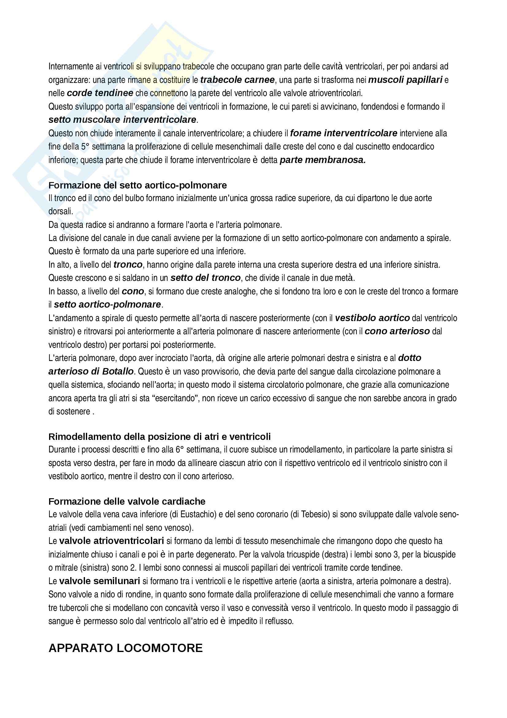 Riassunto esame Istologia, prof. Canipari, libro consigliato Embriologia Umana, De Felici Pag. 46