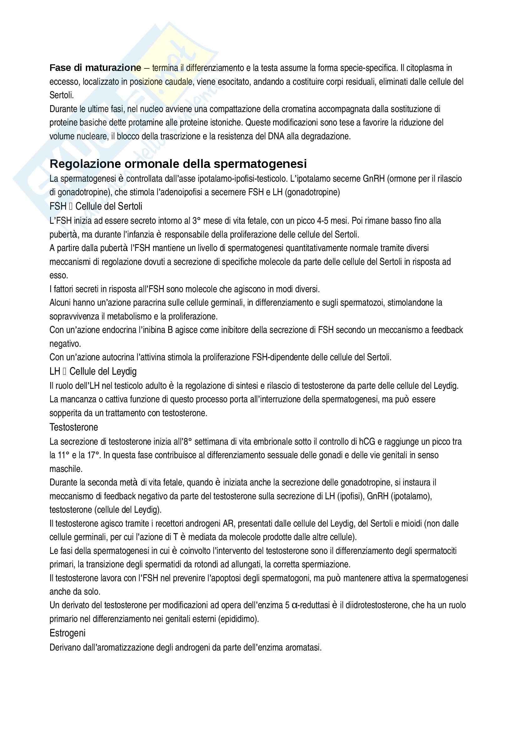 Riassunto esame Istologia, prof. Canipari, libro consigliato Embriologia Umana, De Felici Pag. 6