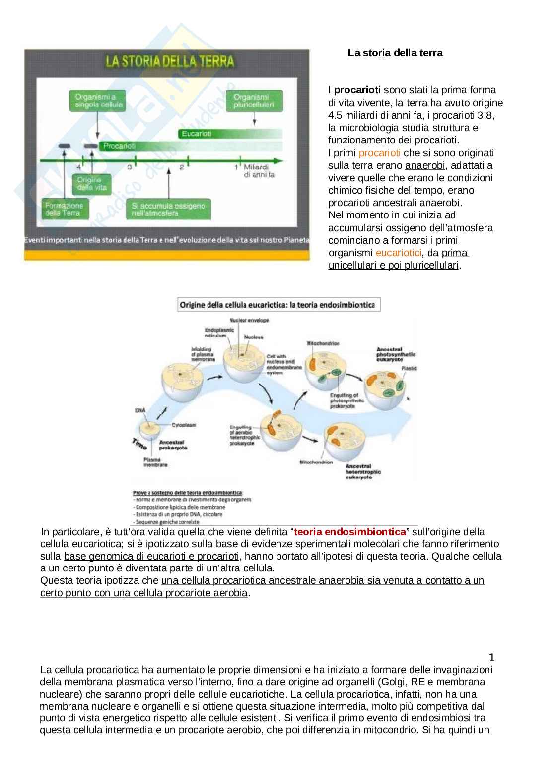 Microbiologia Pag. 1