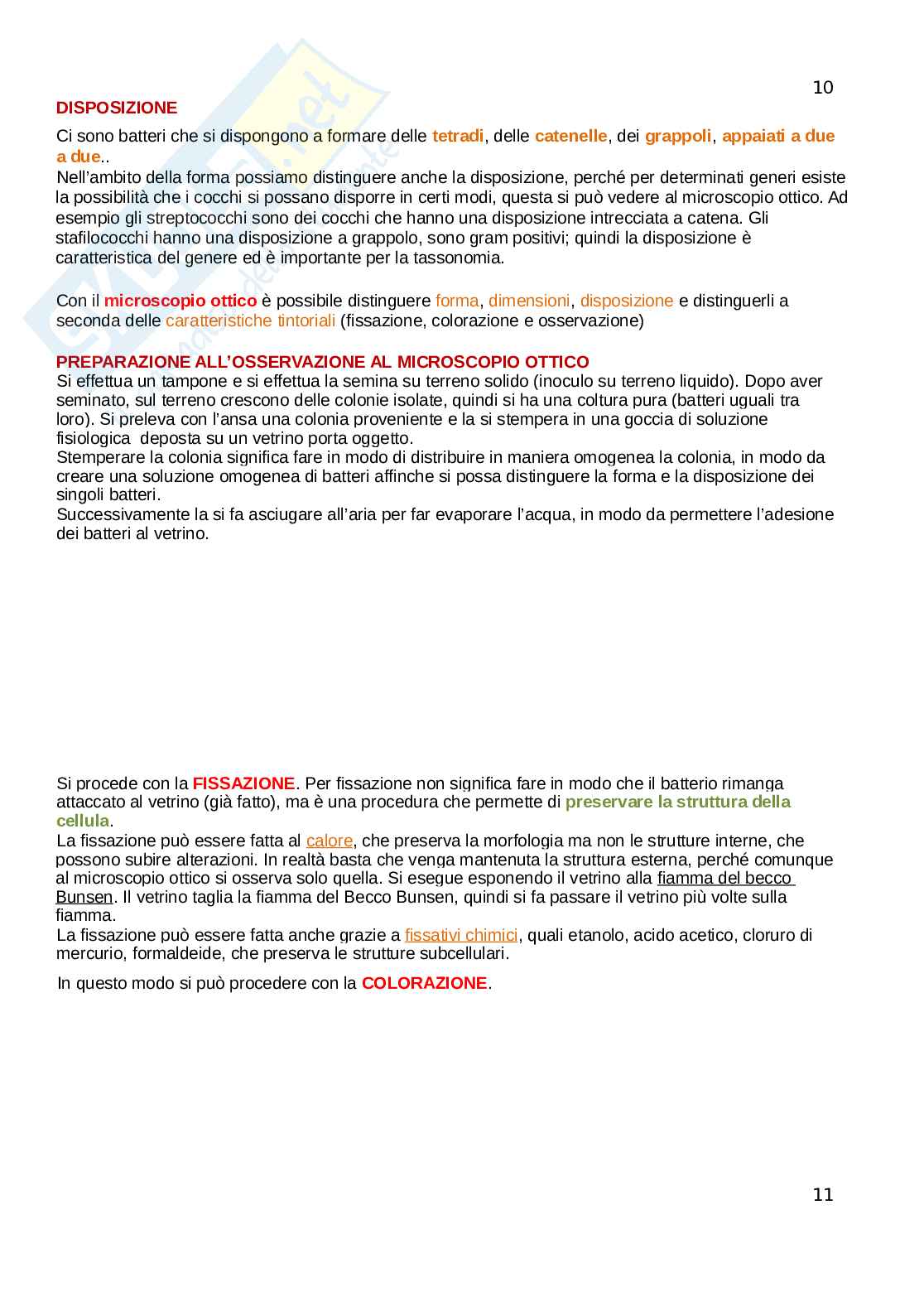 Microbiologia Pag. 11