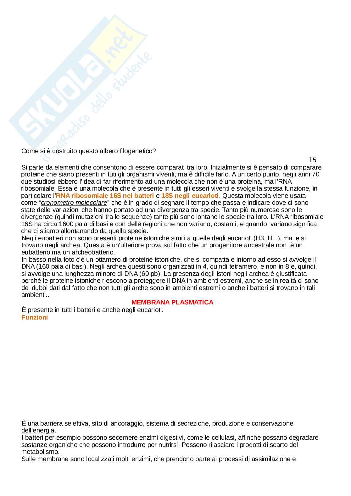 Microbiologia Pag. 16