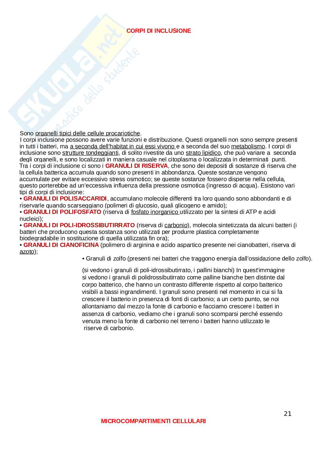 Microbiologia Pag. 21