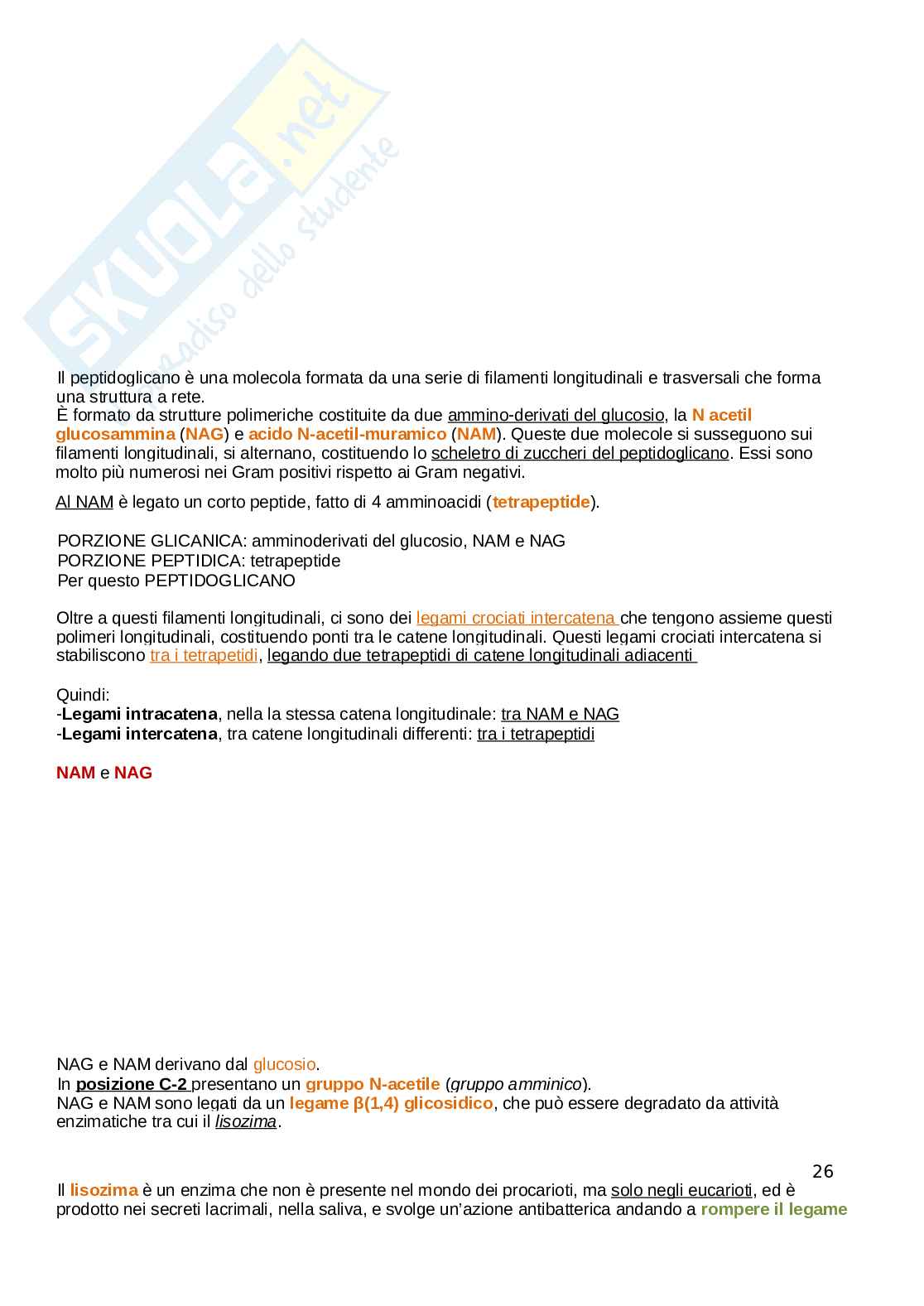 Microbiologia Pag. 26