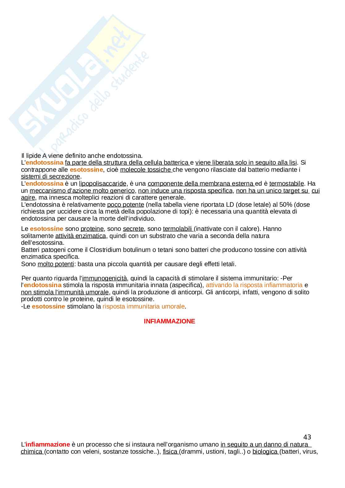 Microbiologia Pag. 41