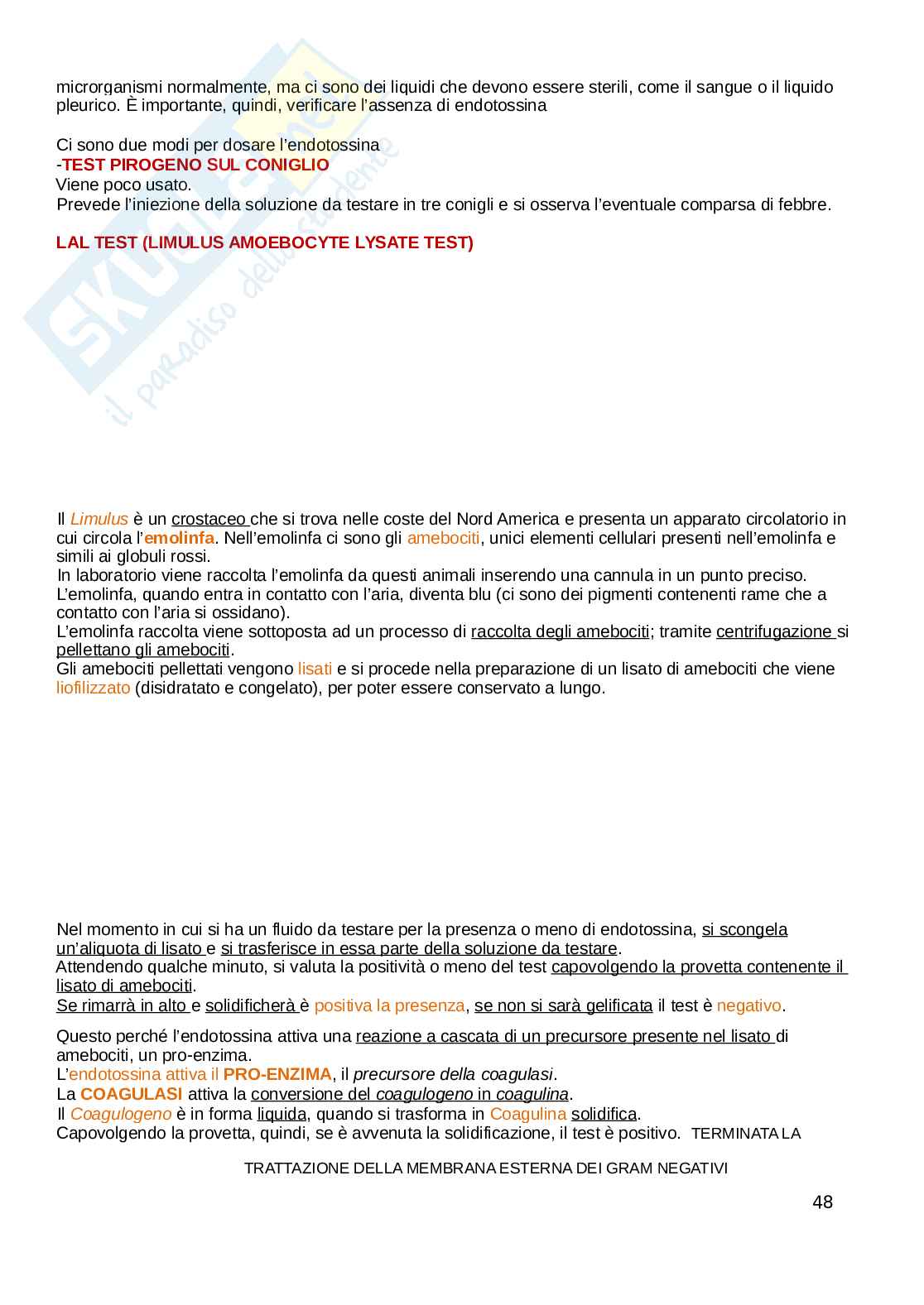 Microbiologia Pag. 46