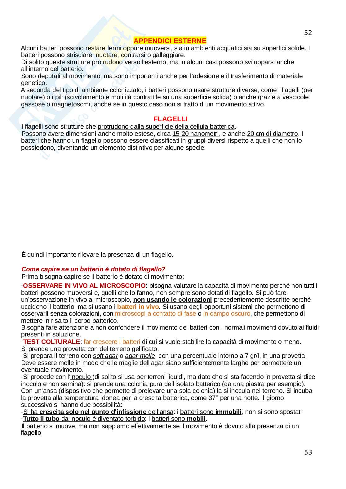 Microbiologia Pag. 51