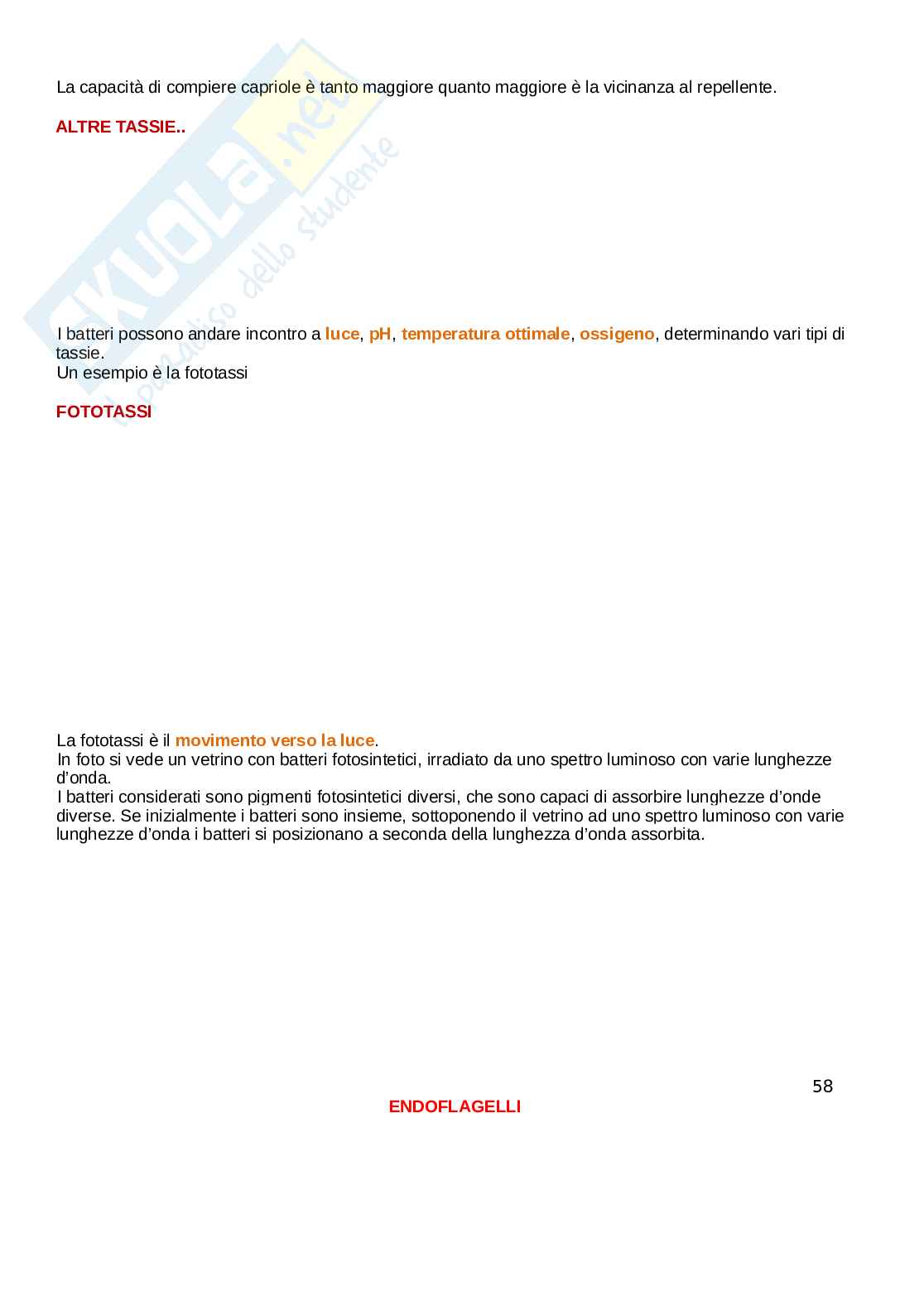 Microbiologia Pag. 56