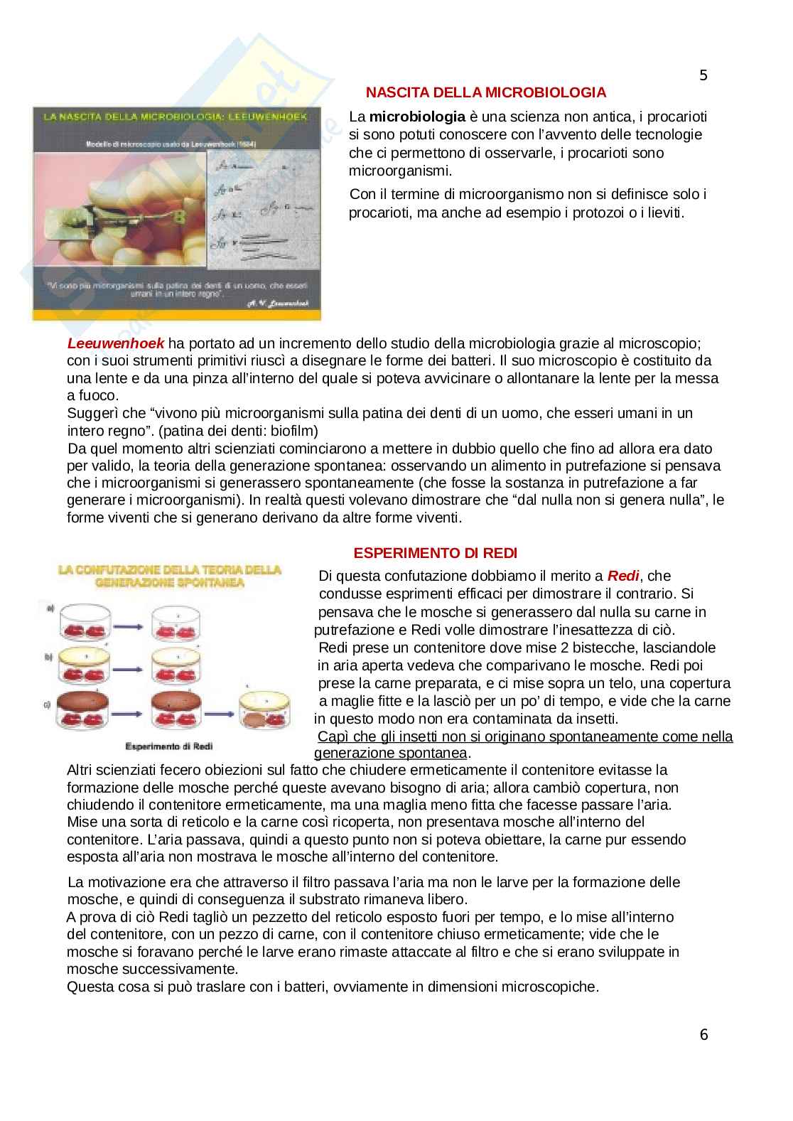 Microbiologia Pag. 6
