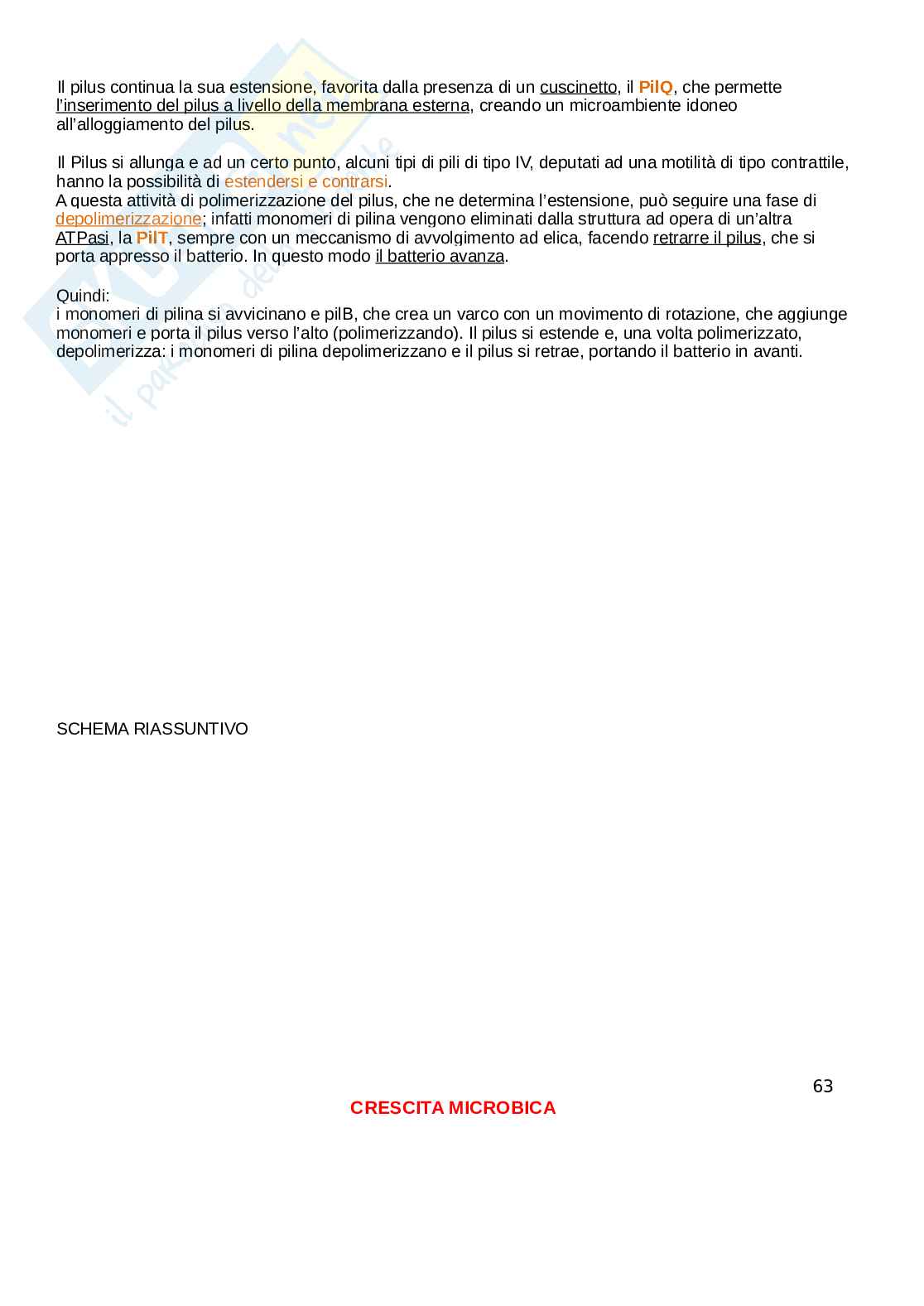 Microbiologia Pag. 61
