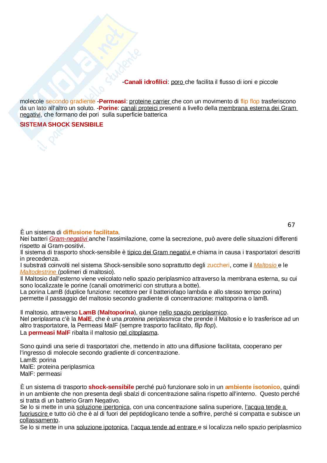 Microbiologia Pag. 66