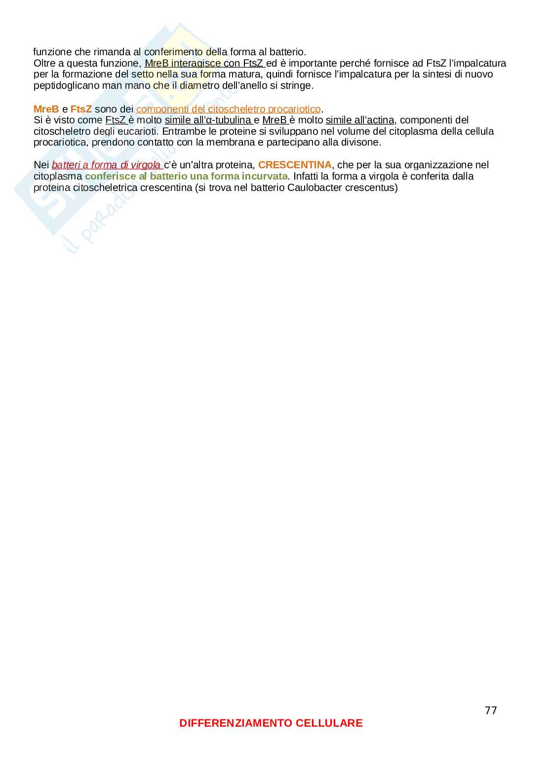Microbiologia Pag. 76
