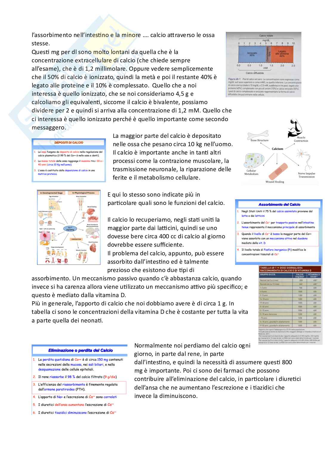 Farmacoterapia 2 - osteoporosi Pag. 2