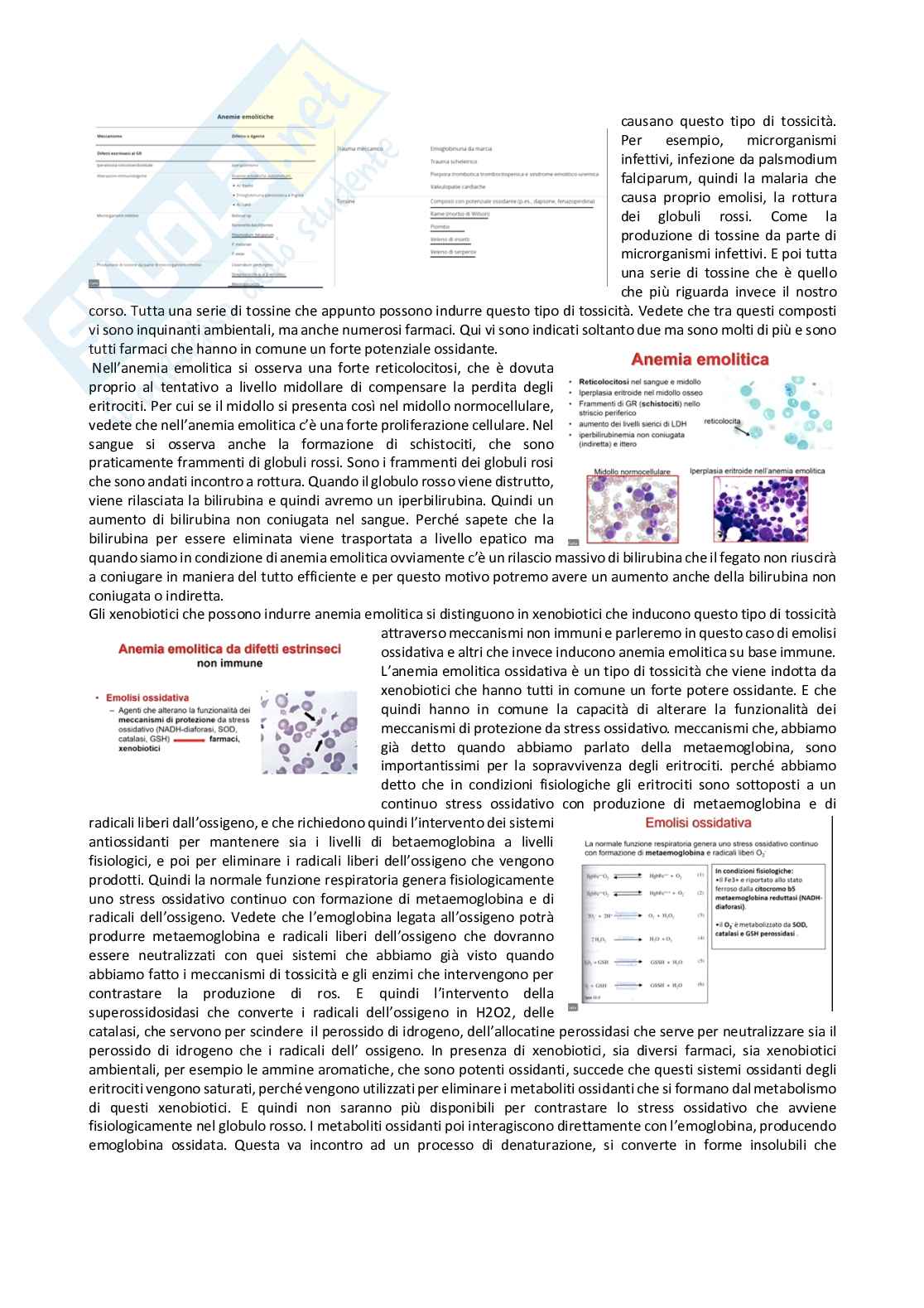 Tossicologia generale e del farmaco - parte 9 Pag. 2