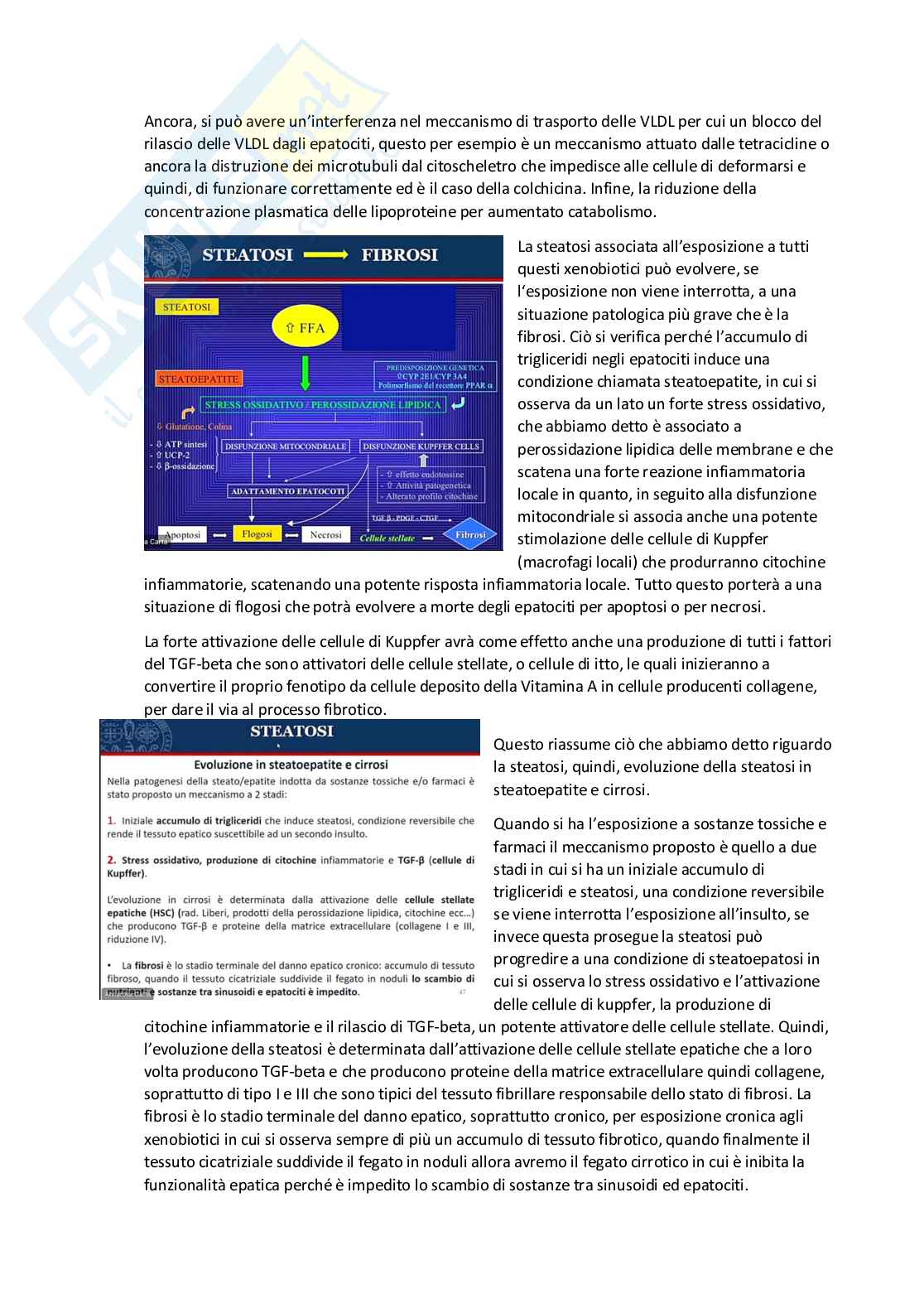 Tossicologia generale e del farmaco - parte 9 Pag. 31
