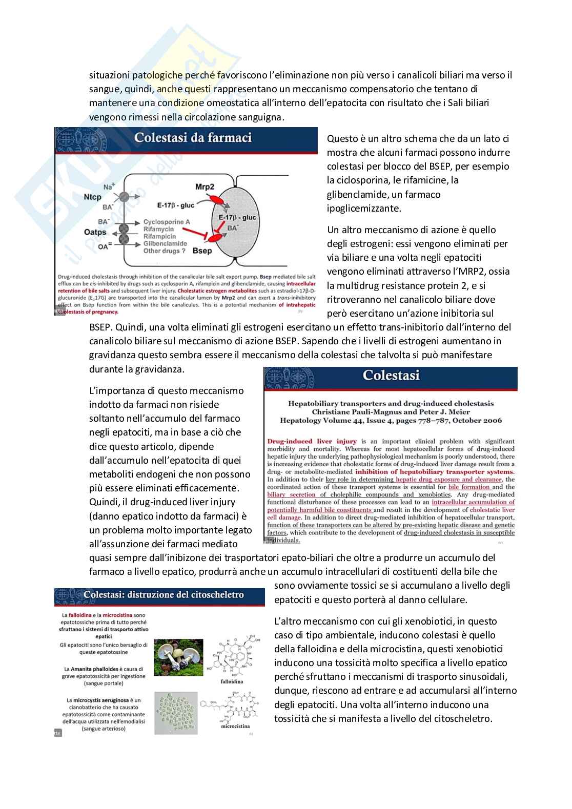 Tossicologia generale e del farmaco - parte 9 Pag. 36