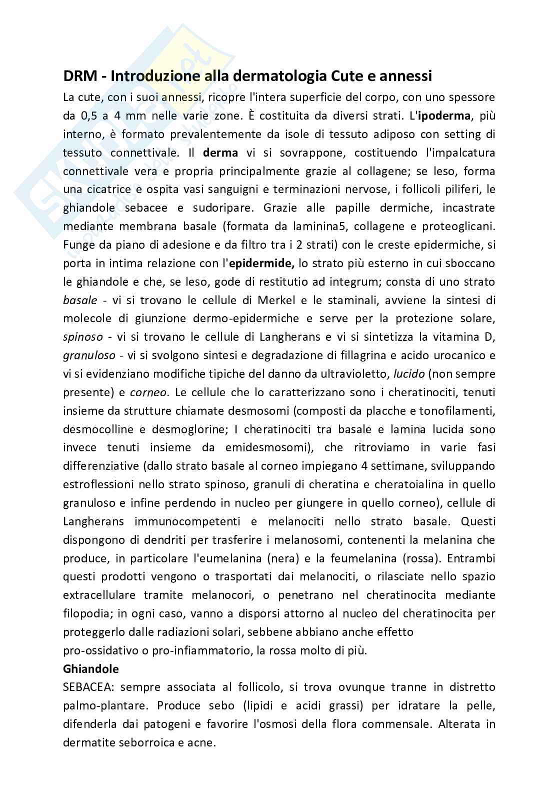 Appunti di Dermatologia  Pag. 1