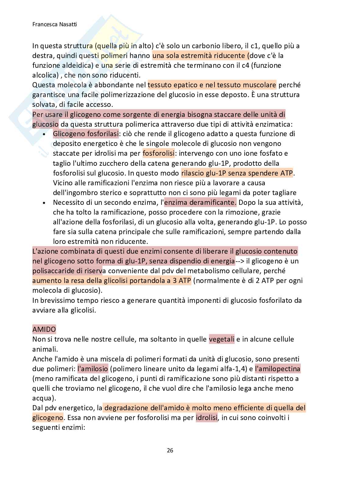 Biochimica generale Pag. 26