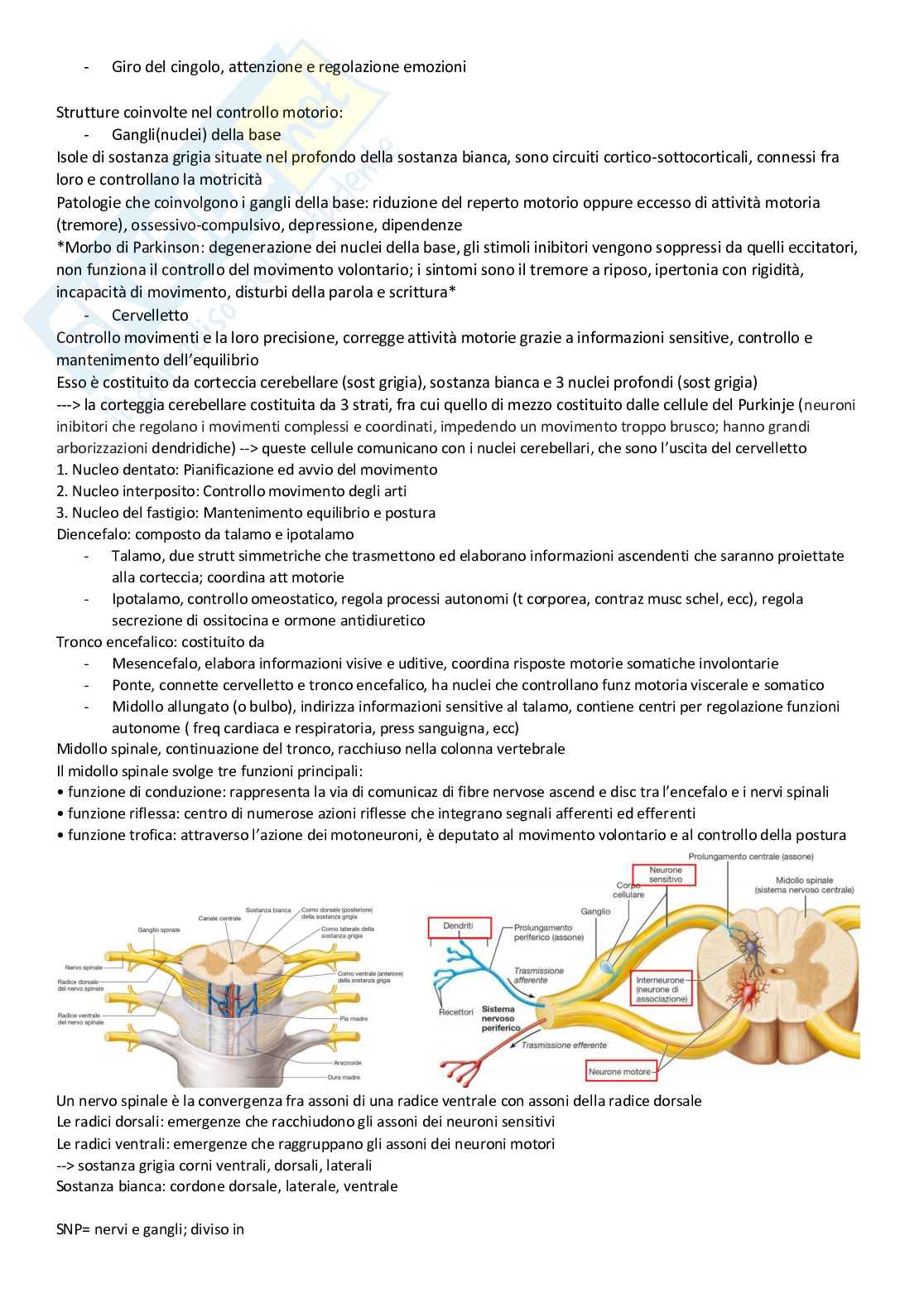 Fisiologia Pag. 11
