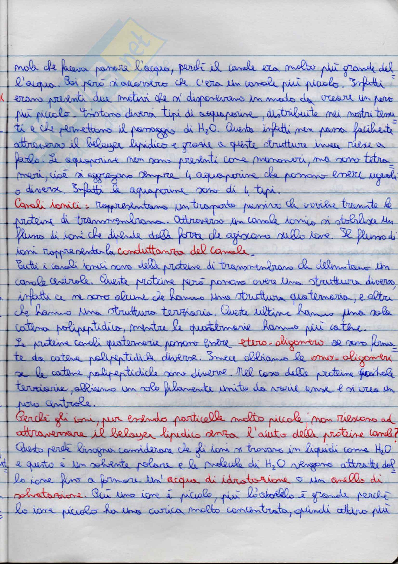 Fisiologia Pag. 11
