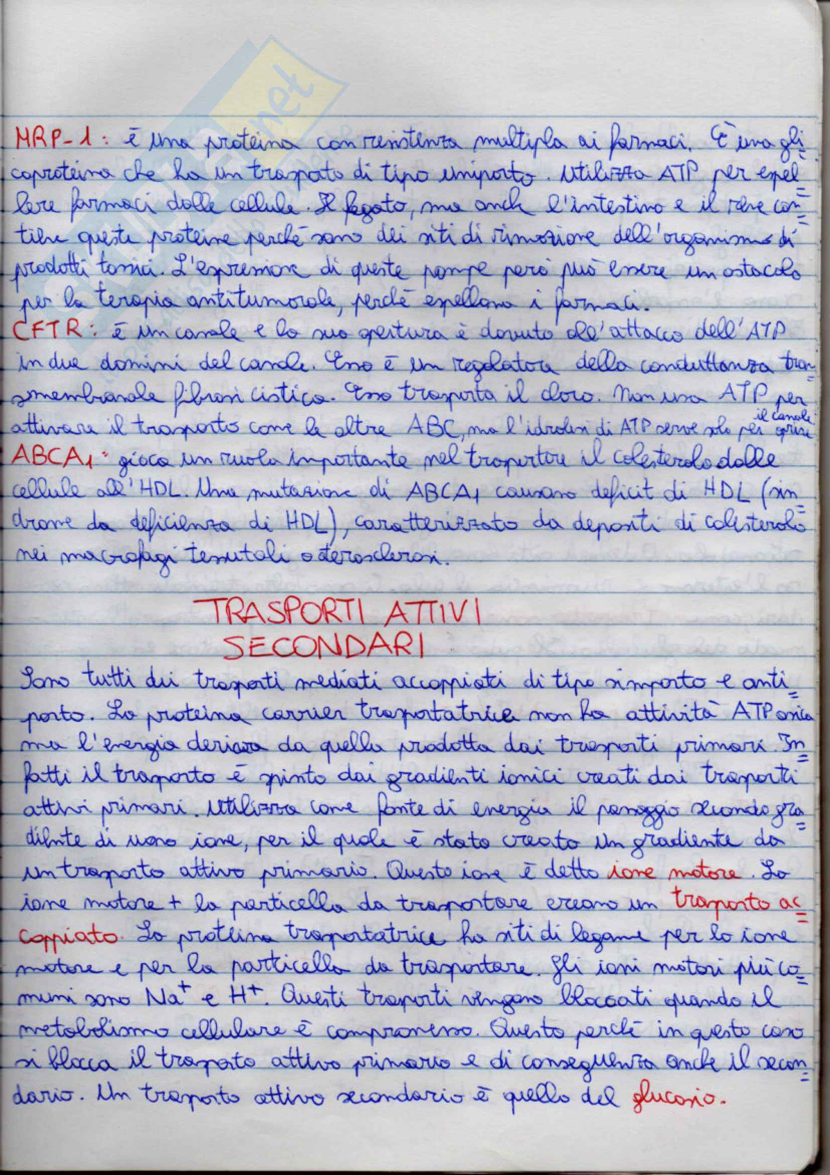 Fisiologia Pag. 21